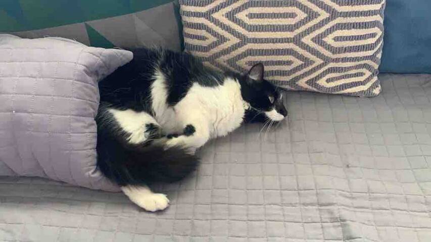 Cobertura no Leblon com piscina gallery image 2