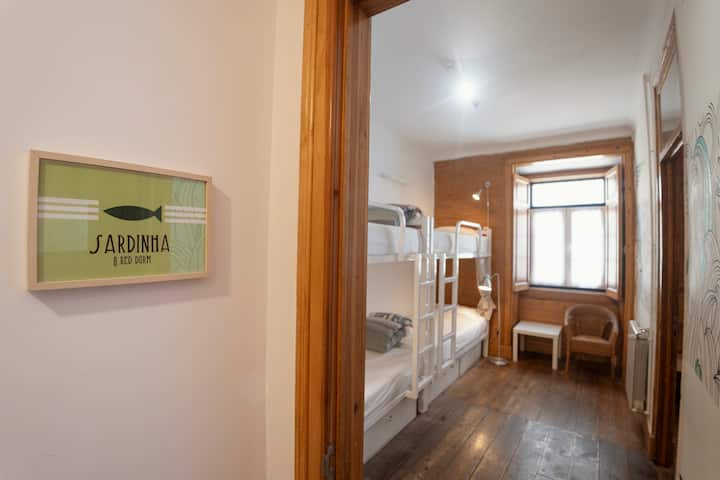 Дом со 8 кревета