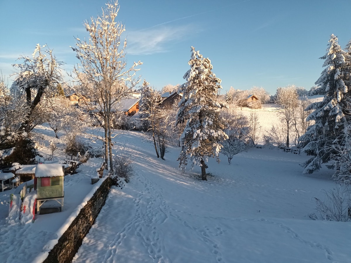 A snowy landscape is presented, featuring a blanket of fresh snow covering the ground and trees. Several houses are visible in the distance, surrounded by frosted trees. A variety of shrubs and a small structure can be seen in the foreground, adding depth to the serene surroundings.