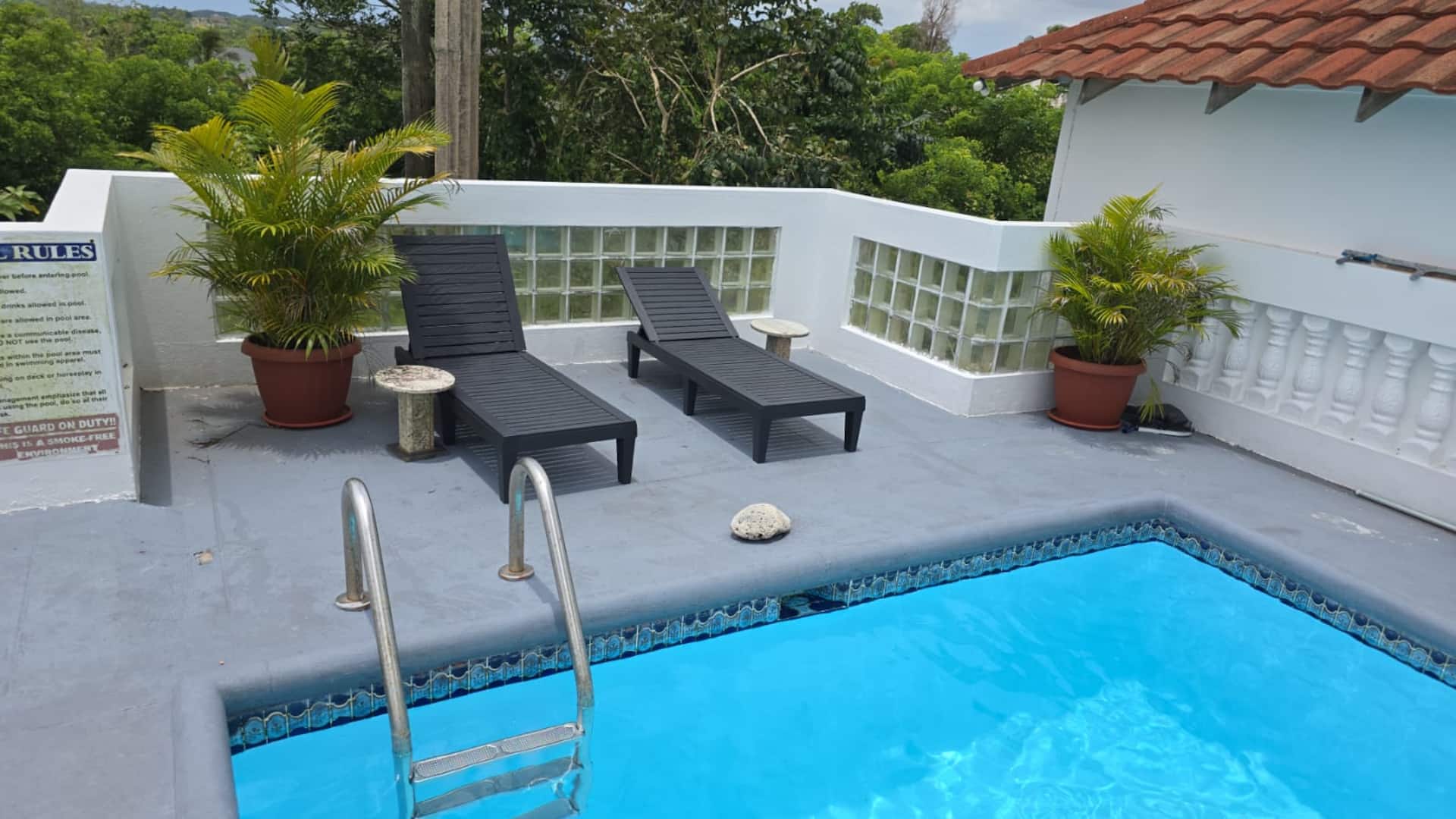 Private pool with sun loungers framed by tropical greenery