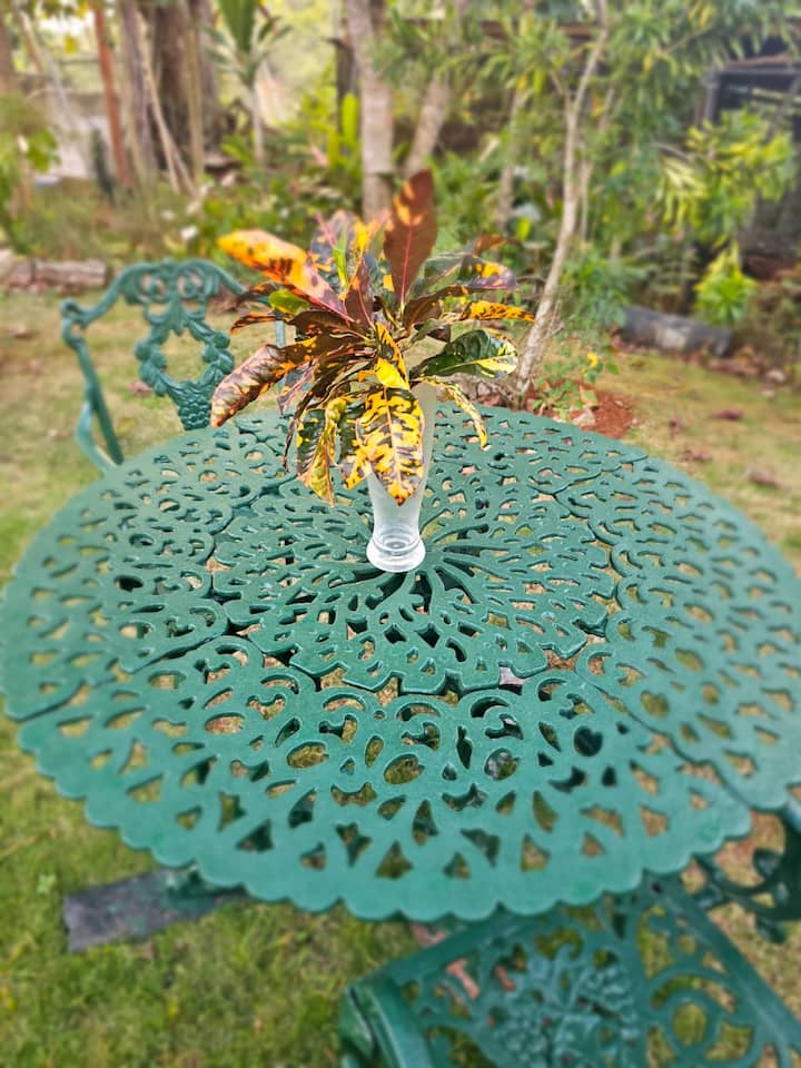 Garden table set with flowers