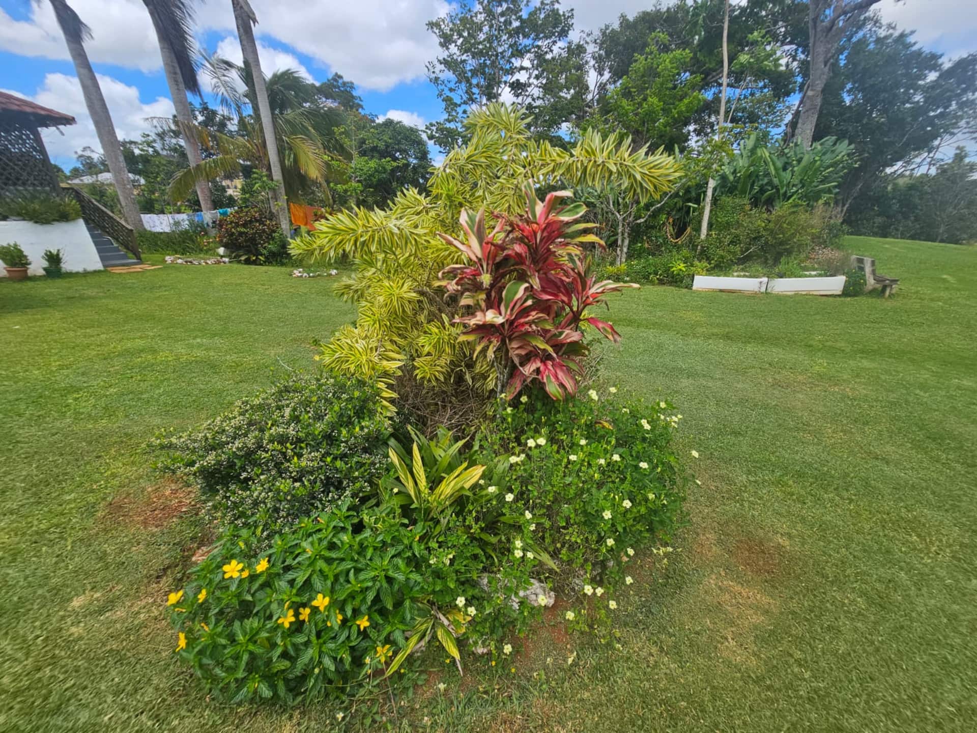 Lush tropical gardens at Dalkeith Great House