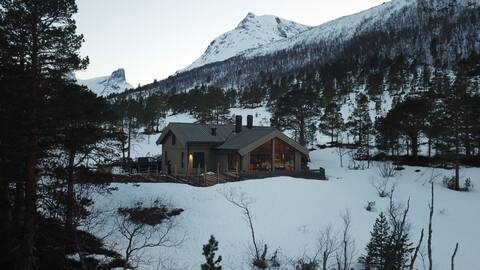 Dream cabin in Vengesdalen