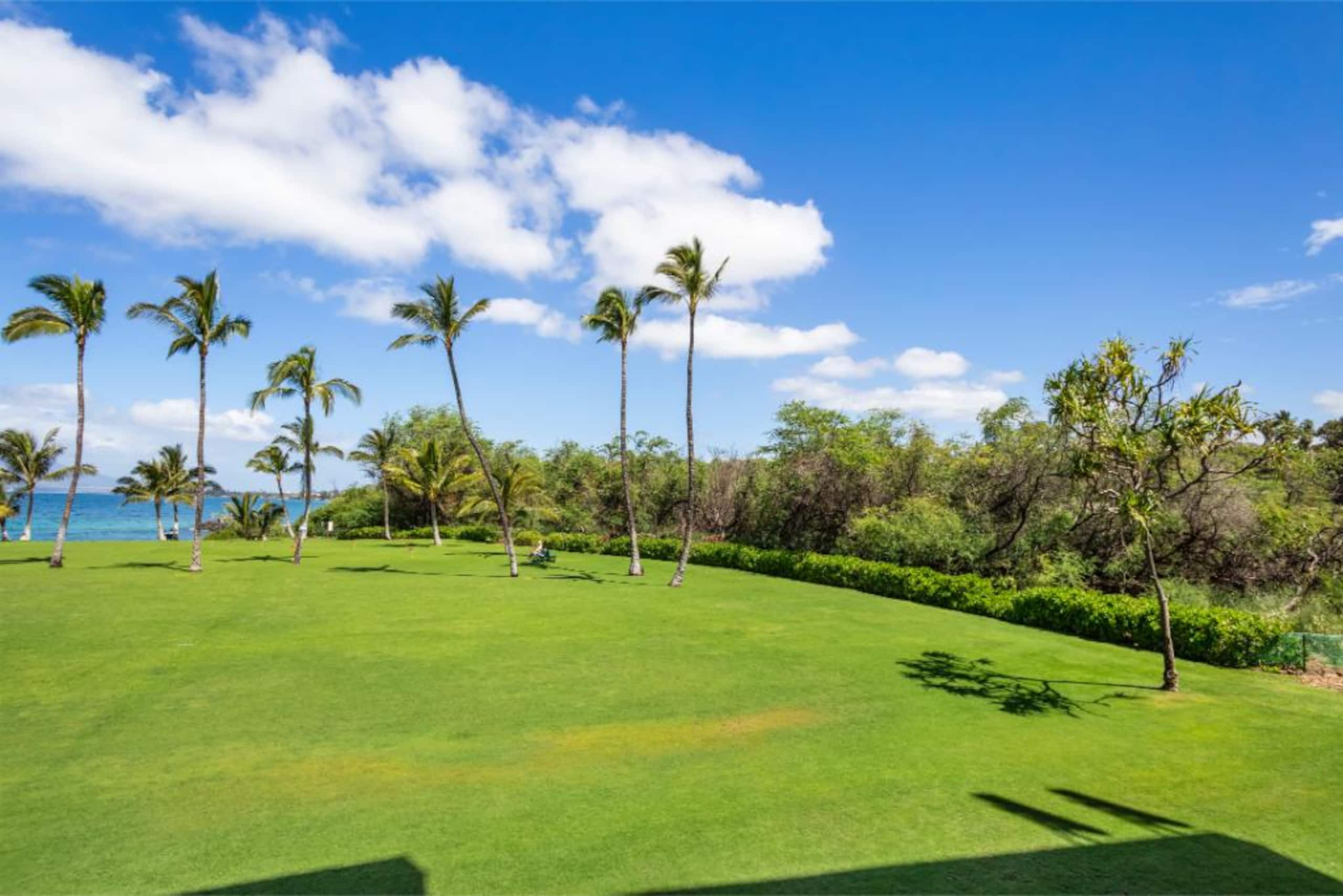 Condo in Kihei · ★4.67 · 1 bedroom · 2 beds · 1.5 baths - Image 5
