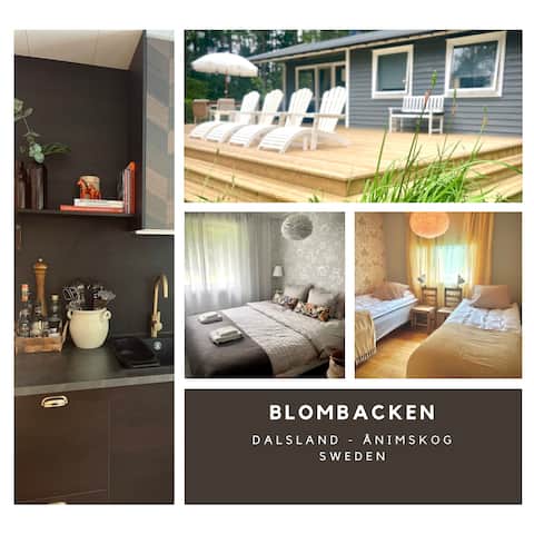 Tastefully decorated peaceful environment by forest and lake