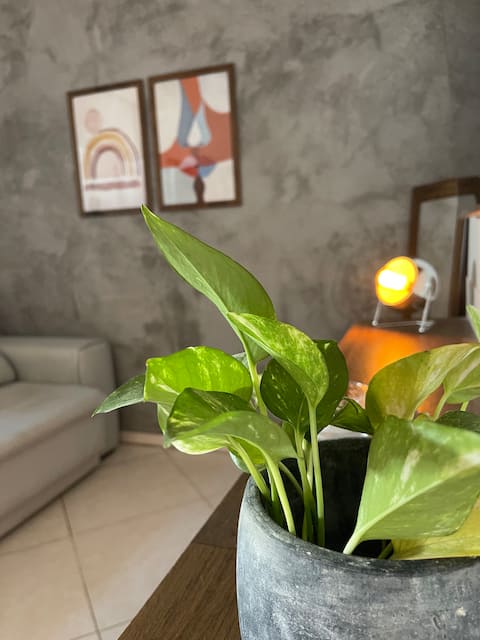 Top Airbnb: Casa Luz em Guaratinguetá