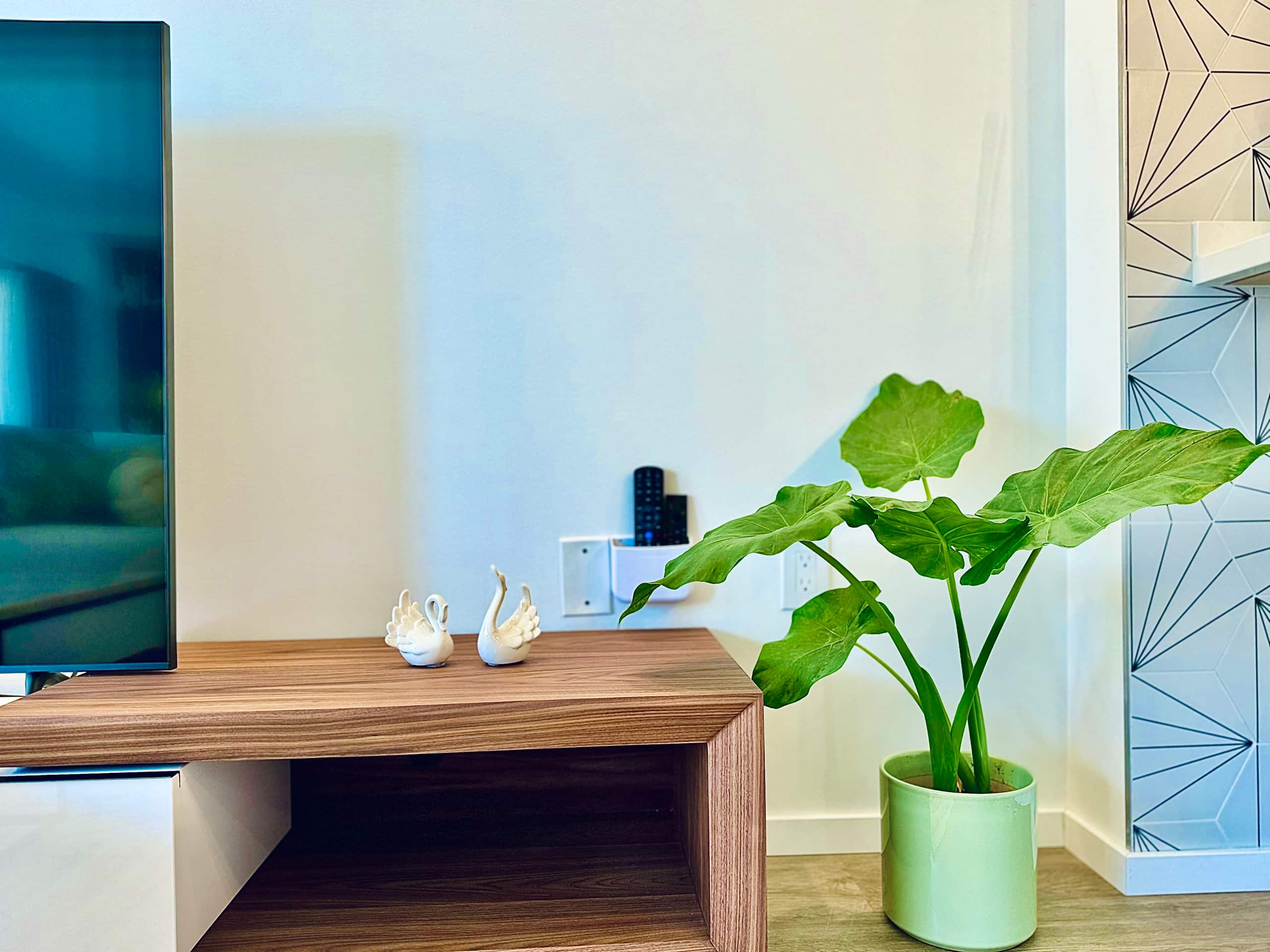 Condo in Honolulu · ★4.9 · 1 bedroom · 2 beds · 1 shared bath - Image 25
