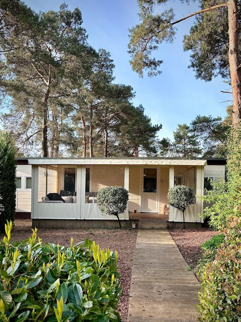 Woods & fireplace – cosy cabin for autumn stays