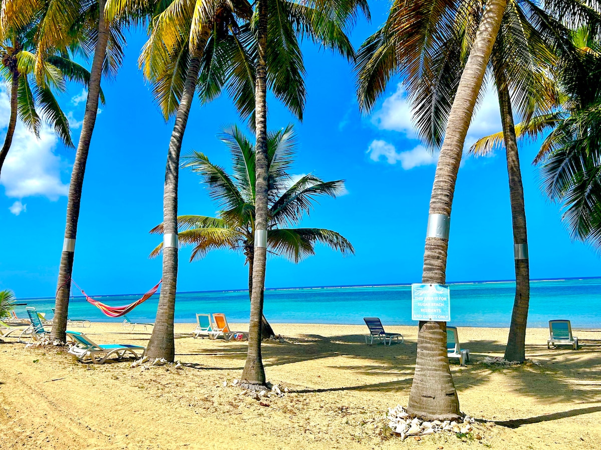Palm trees gently sway in the warm breeze, framing a sandy beach that leads to tranquil waters. Beach loungers and a hammock are positioned beneath the shade, inviting relaxation. The vibrant blue sky and sea create a picturesque coastal scene.