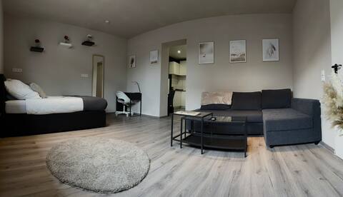 Modern studio at the border triangle