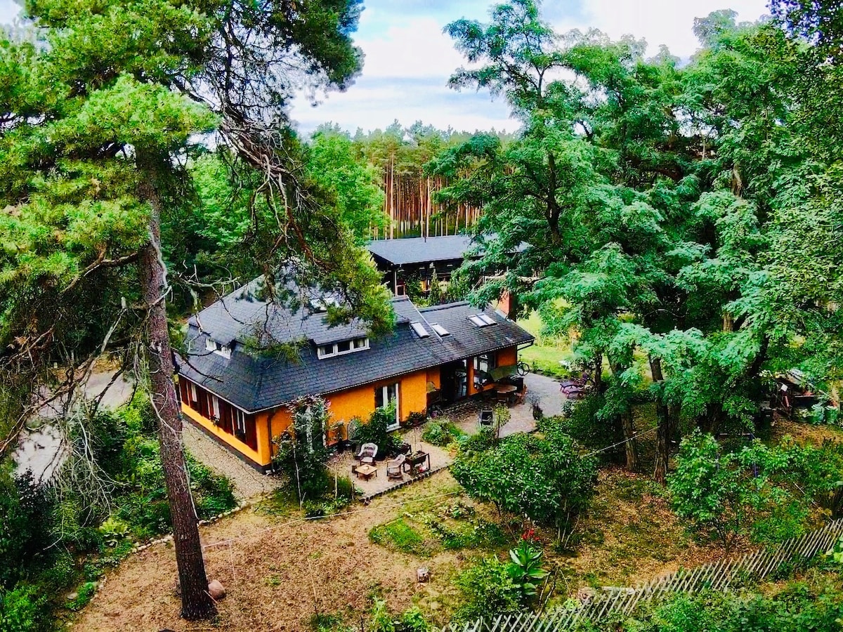 A spacious house is nestled within a lush green landscape, surrounded by tall trees. The structure features multiple large windows and a dark roof, along with a welcoming outdoor seating area on a gravel path. The natural surroundings create a serene retreat atmosphere.