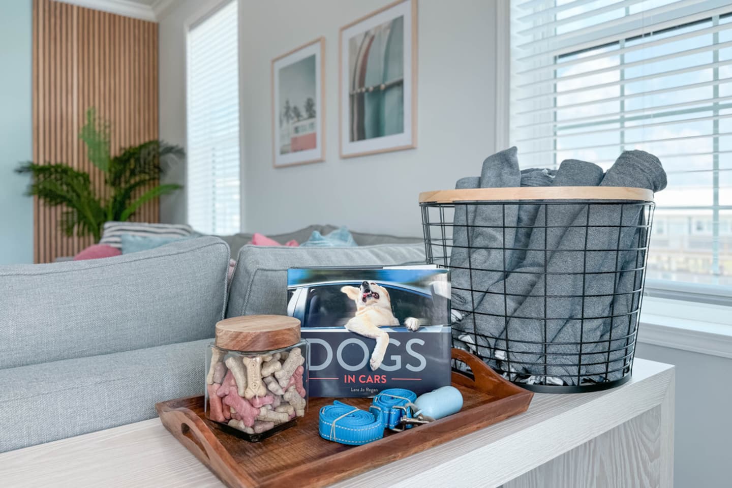 Pet-friendly beach house