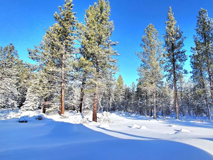 2.5 Acres Deschutes forest home 7 BR/5 BATH/4 king
