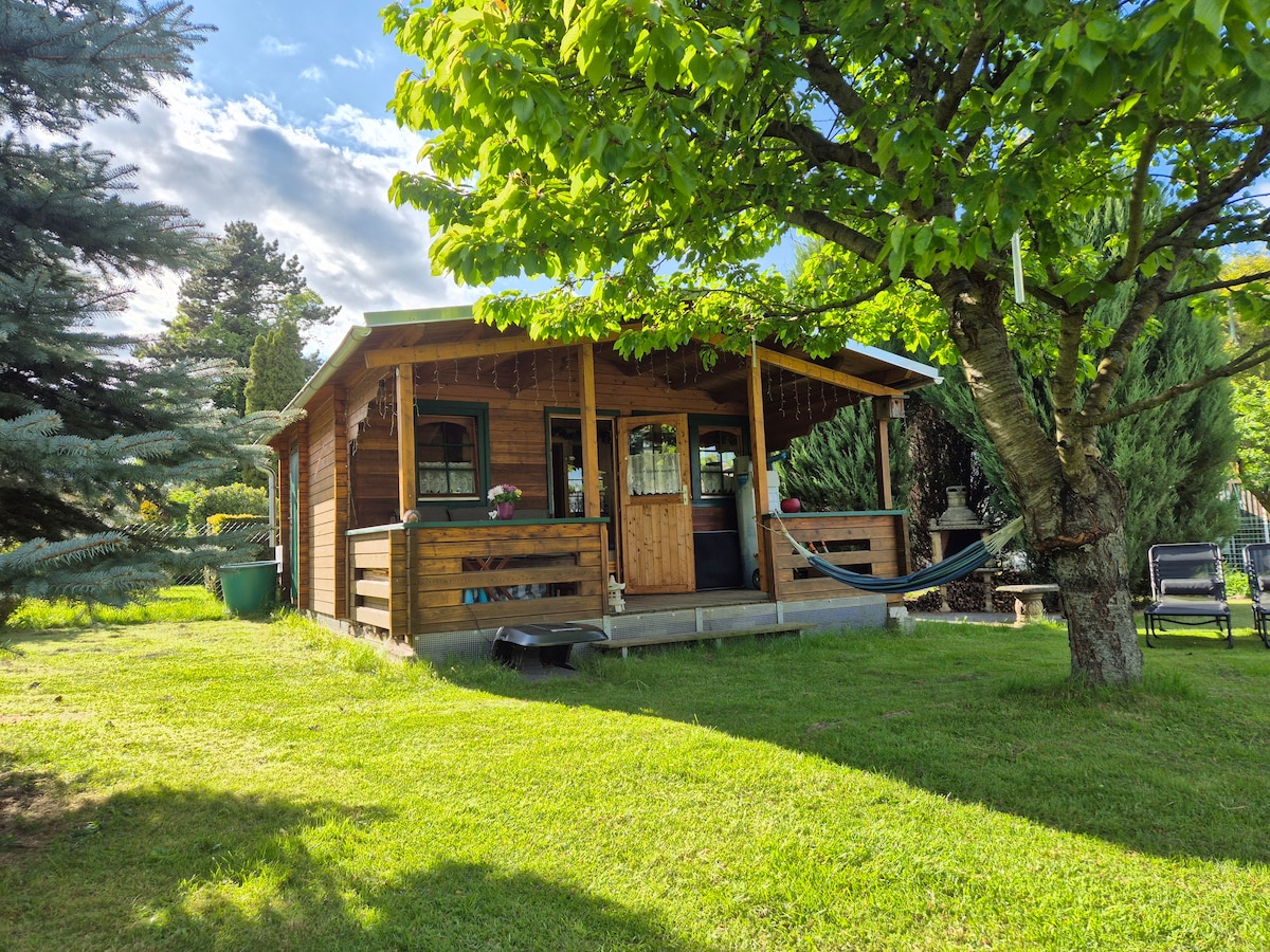 A wooden house is surrounded by a lush green garden, featuring a porch with a hammock. Sunlight filters through the trees, creating a serene setting. The house has large windows that offer views of the outdoor space, emphasizing a connection with nature.