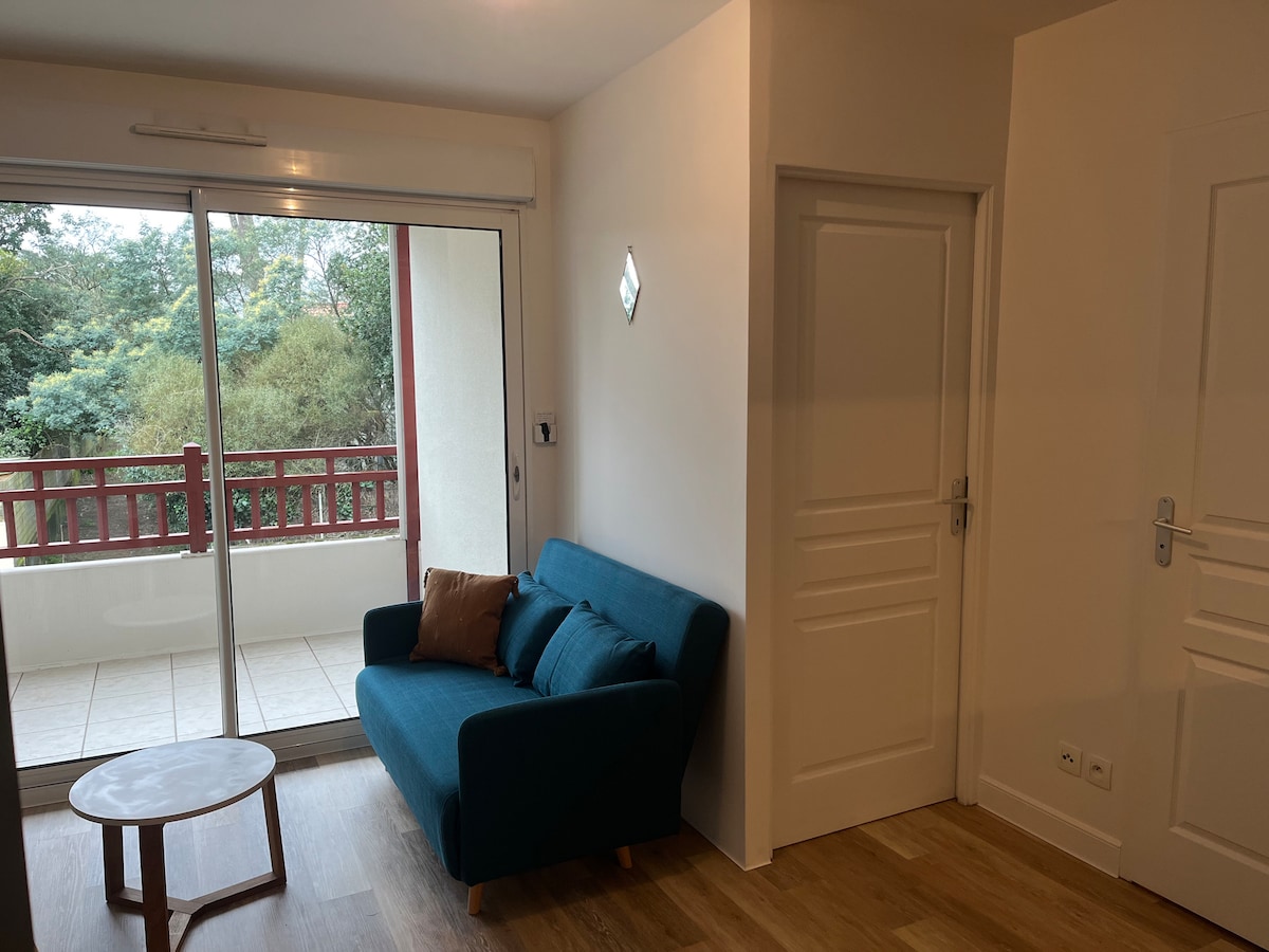 Airbnb performant: Small 2-room, quiet, beach and port within walking distance à Capbreton