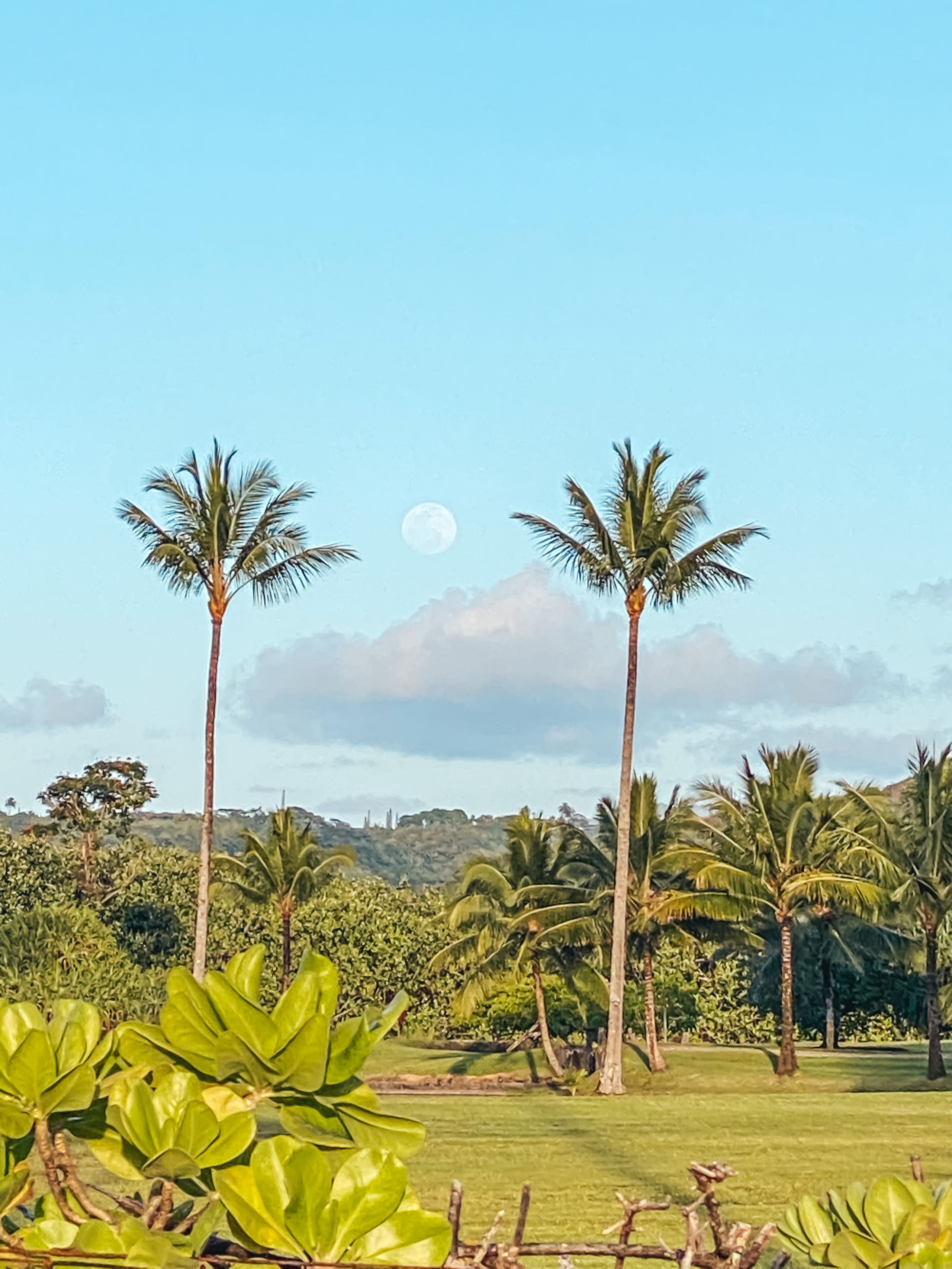 Tropical Studio Retreat w/AC 9min to Hanalei Bay - Image 23