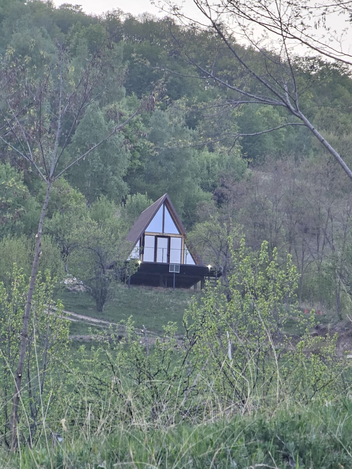 A charming cabin with an A-frame structure is nestled among lush greenery. The exterior features a mix of wood and large windows, allowing for natural light. Surrounding trees enhance the sense of tranquility in this natural setting.