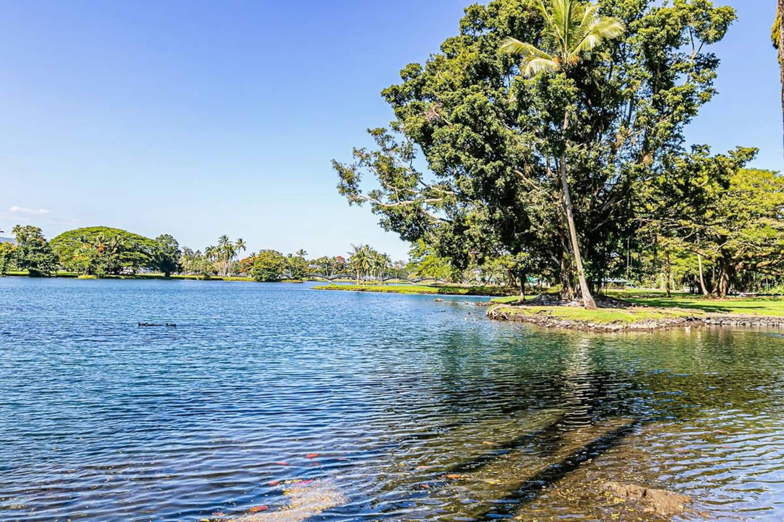 Condo in Hilo · ★4.86 · 1 bedroom · 1 bed · 1 bath - Image 31