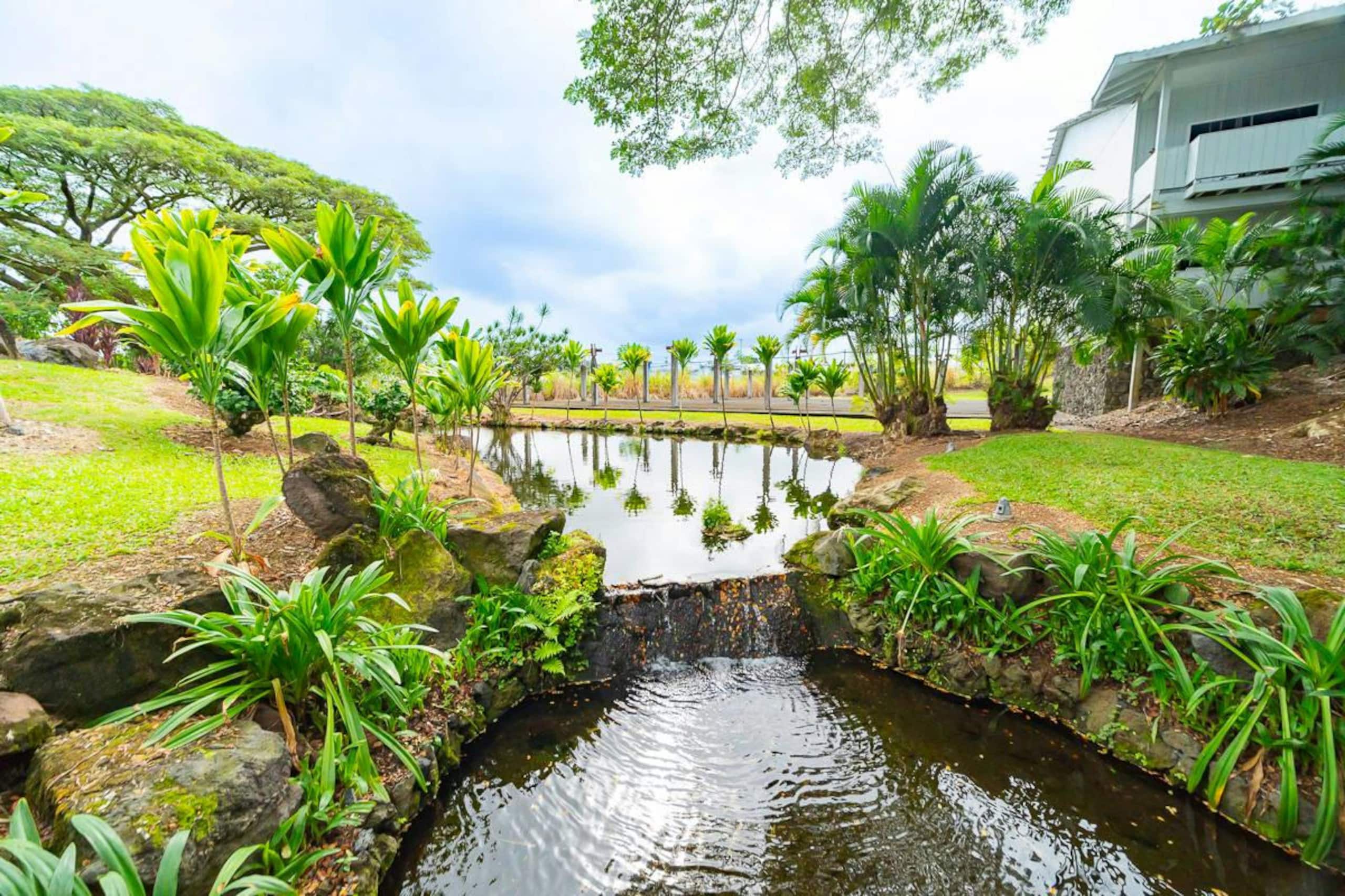 Condo in Hilo · ★4.86 · 1 bedroom · 1 bed · 1 bath - Image 24