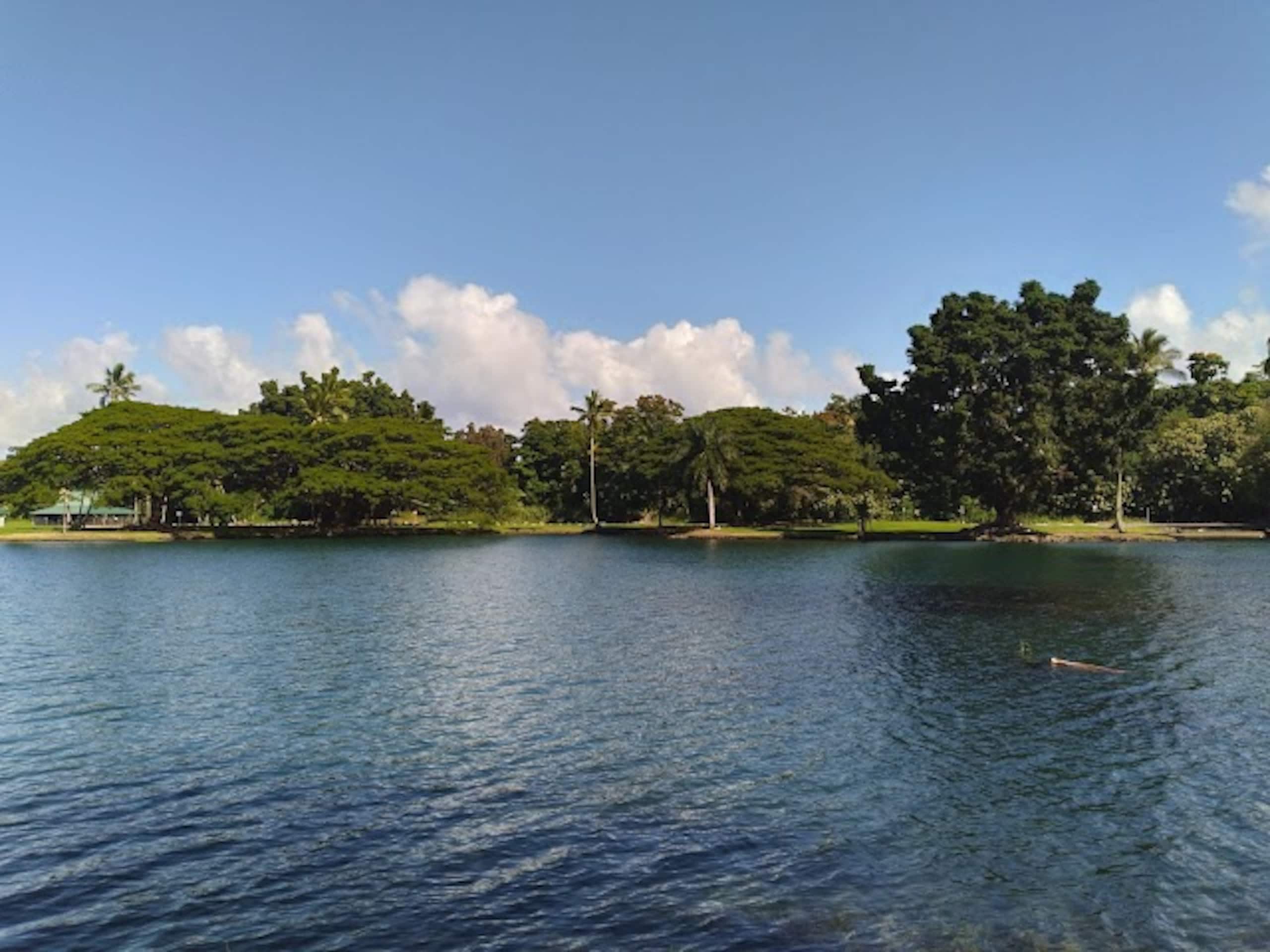 Condo in Hilo · ★4.86 · 1 bedroom · 1 bed · 1 bath - Image 32