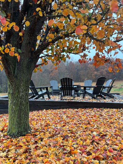 Family Favorite-pool, fire pit, movie room & more