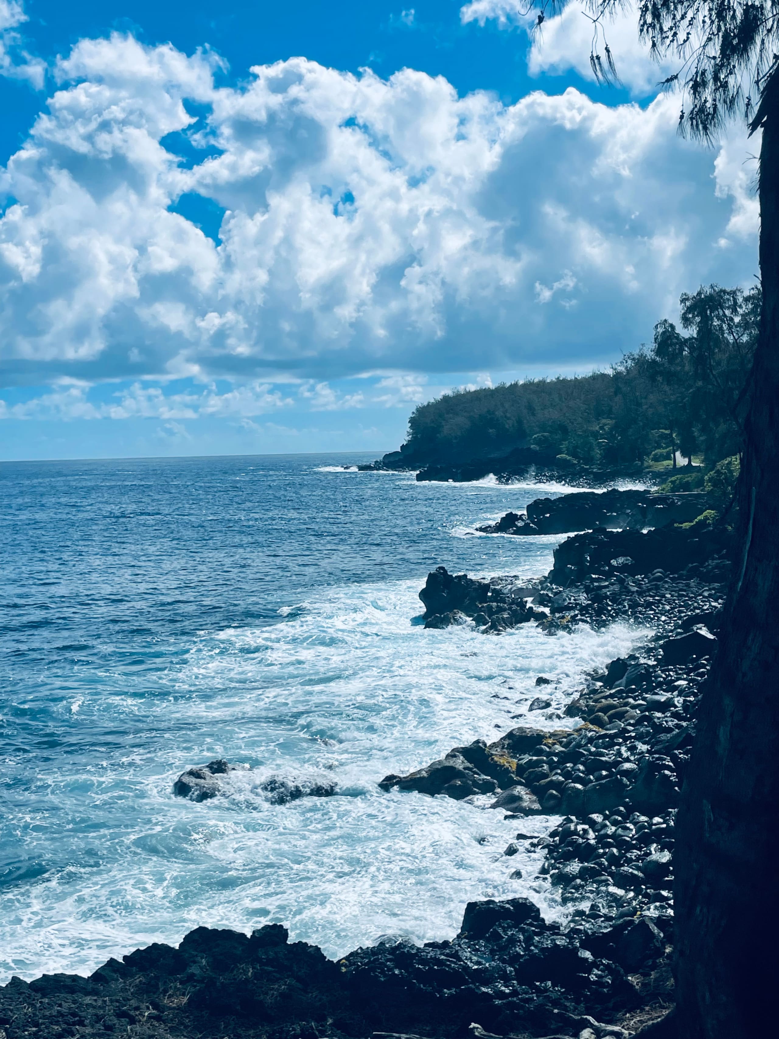 Home in Pahoa · ★4.95 · 1 bedroom · 2 beds · 1 private bath - Image 75