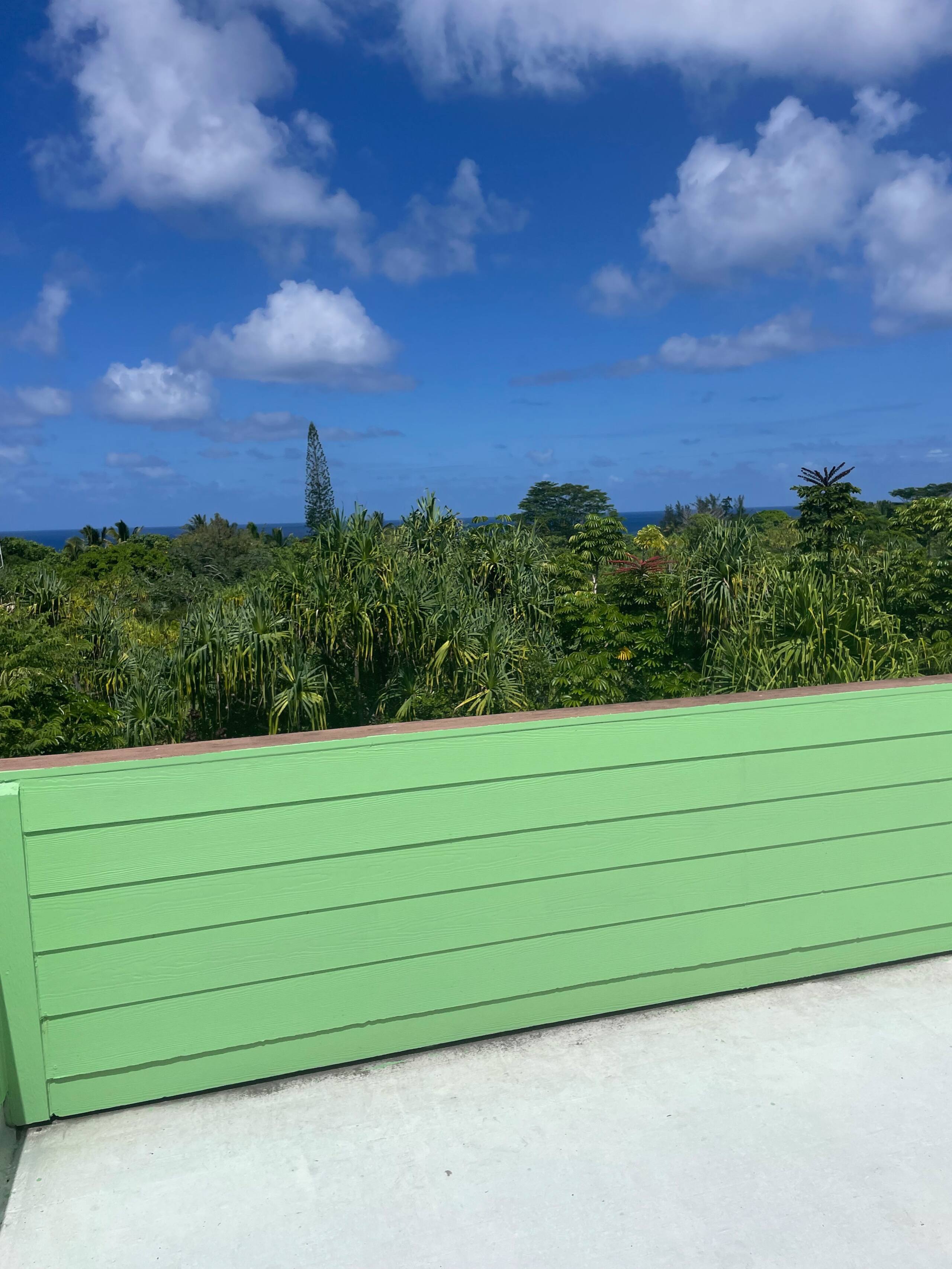 Home in Pahoa · ★4.95 · 1 bedroom · 2 beds · 1 private bath - Image 55