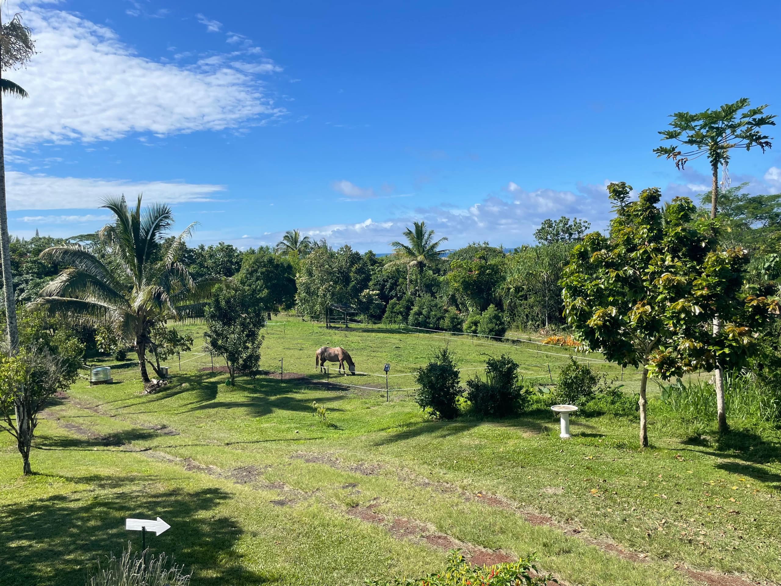 Home in Pahoa · ★4.95 · 1 bedroom · 2 beds · 1 private bath - Image 58