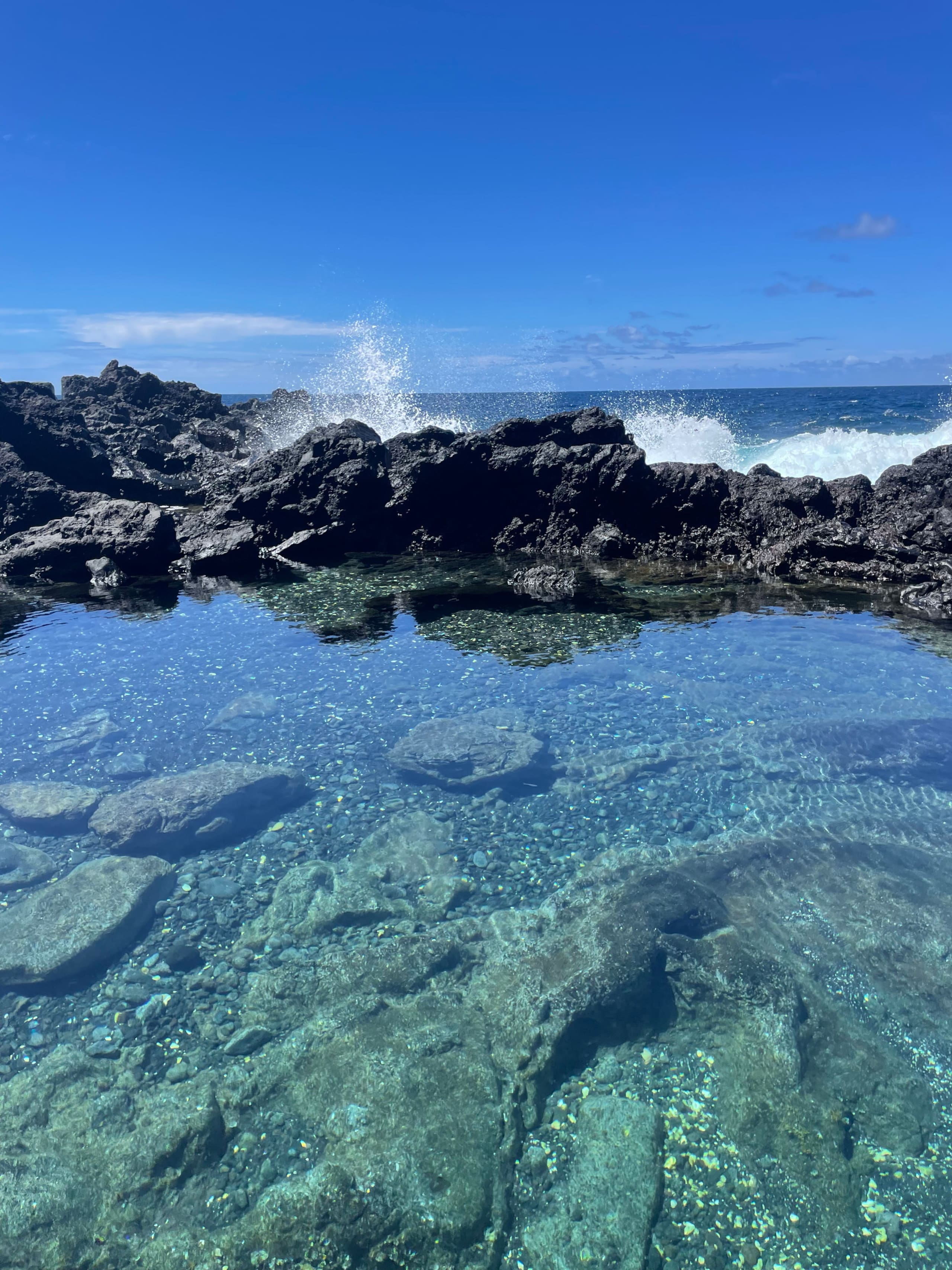 Home in Pahoa · ★4.95 · 1 bedroom · 2 beds · 1 private bath - Image 71