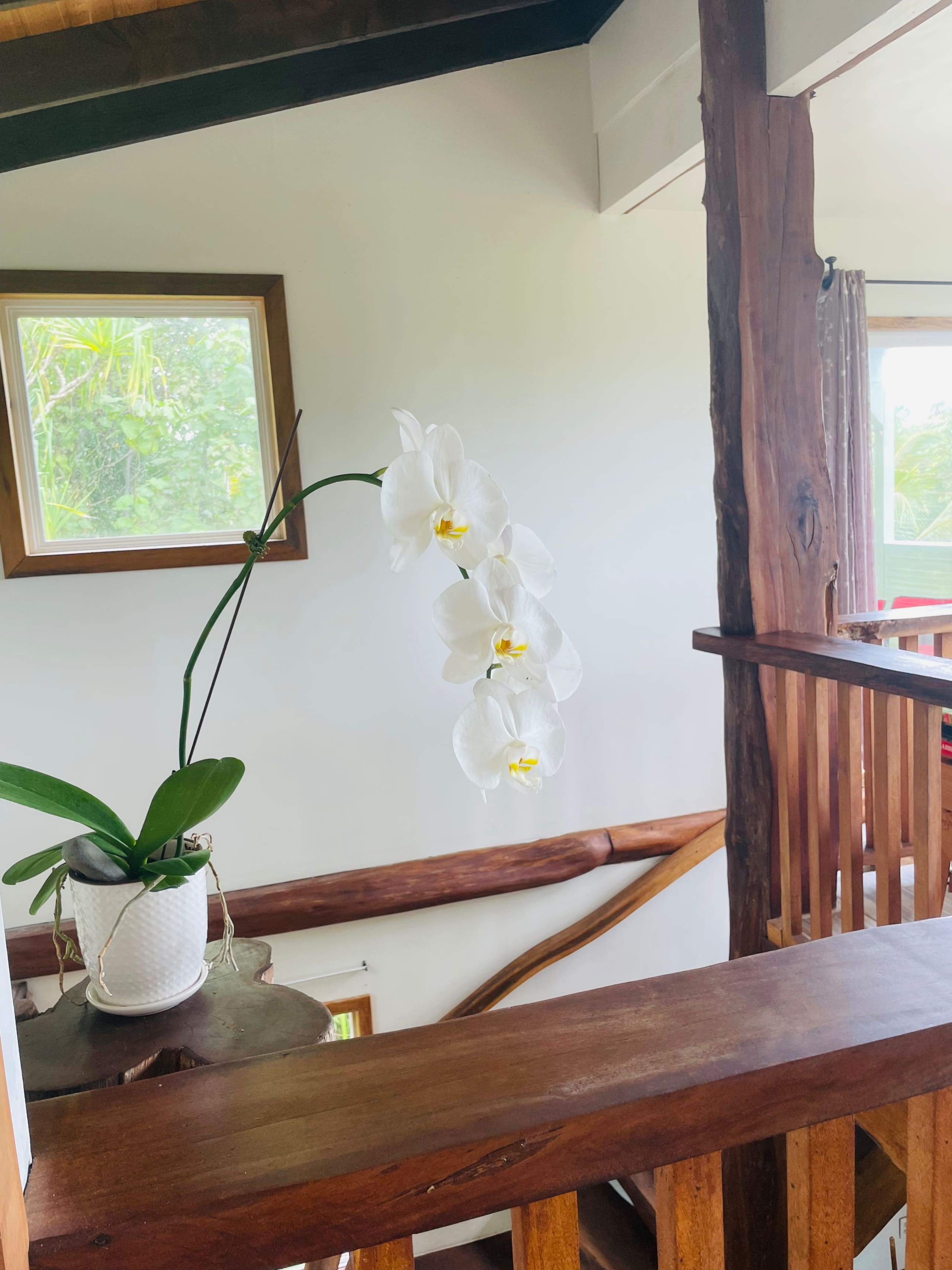 Home in Pahoa · ★4.95 · 1 bedroom · 2 beds · 1 private bath - Image 26