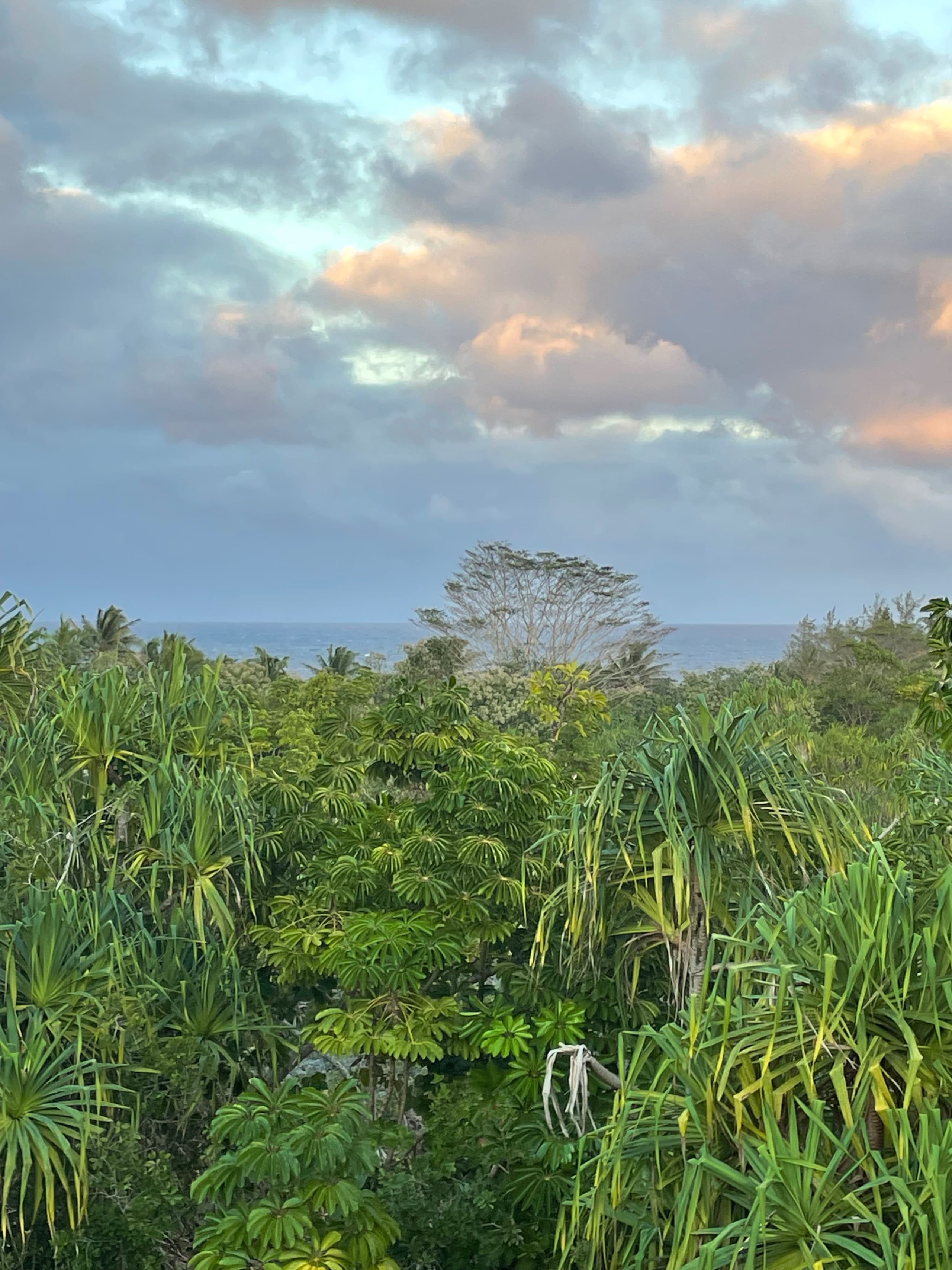 Home in Pahoa · ★4.95 · 1 bedroom · 2 beds · 1 private bath - Image 48
