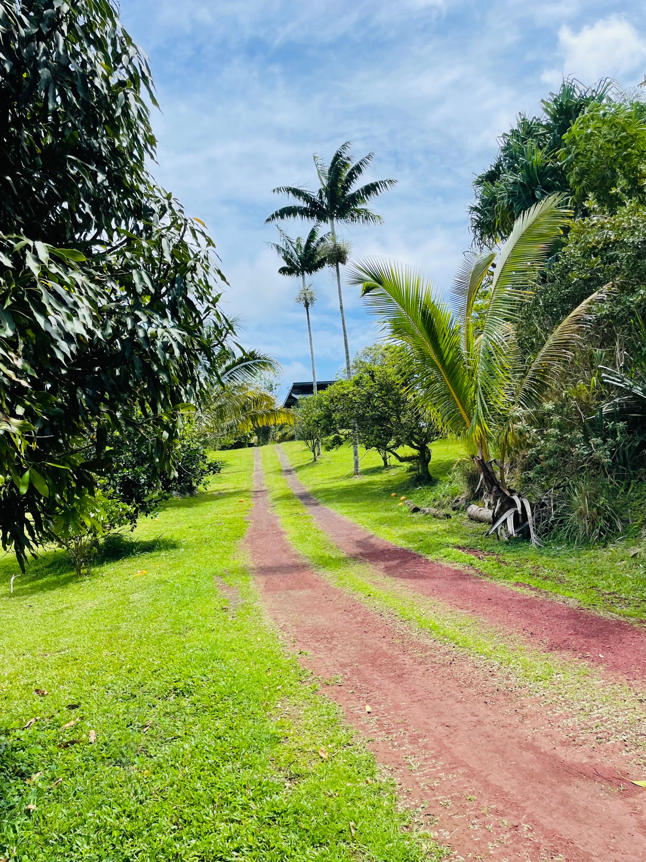 Home in Pahoa · ★4.95 · 1 bedroom · 2 beds · 1 private bath - Image 54