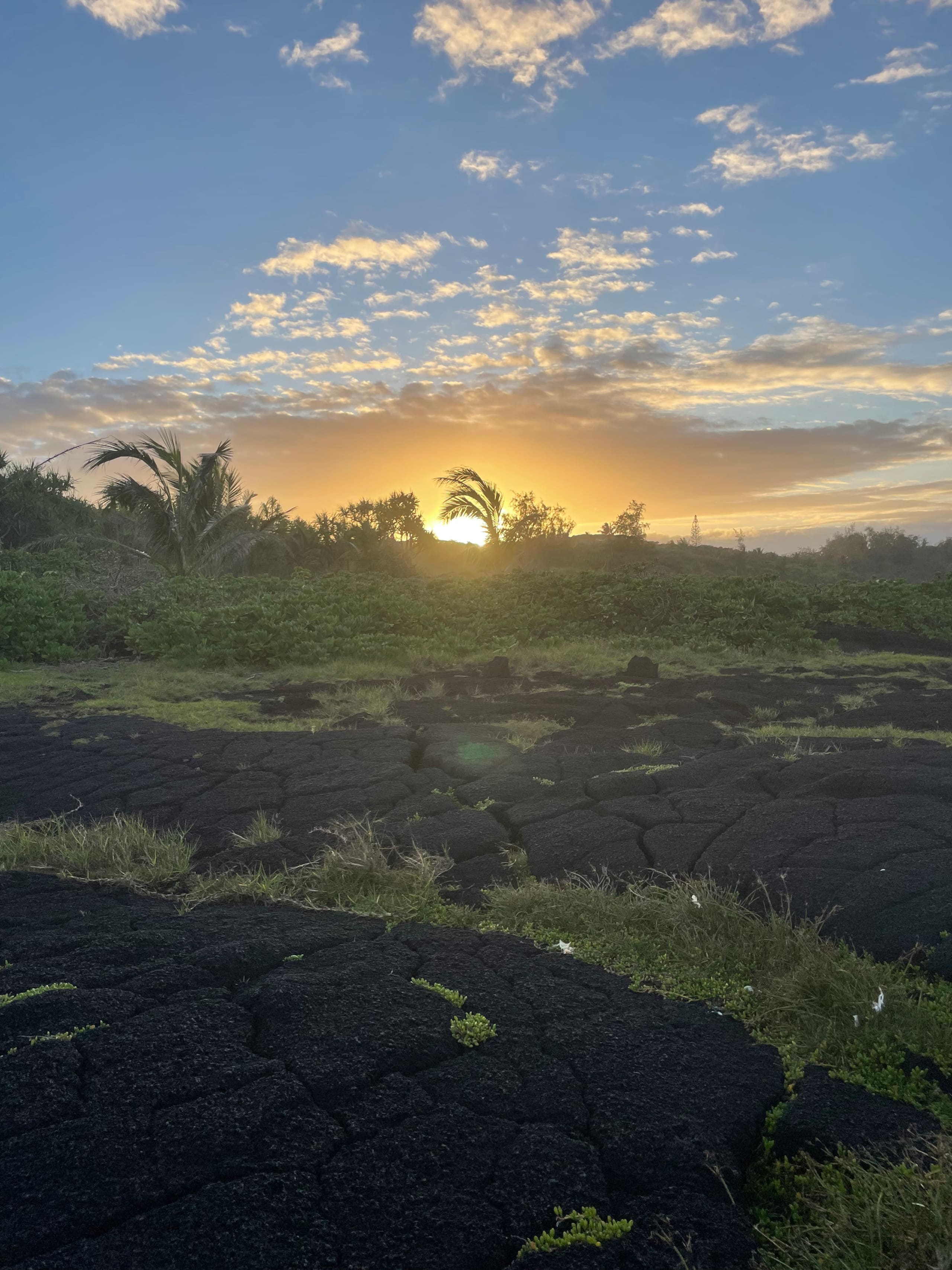 Home in Pahoa · ★4.95 · 1 bedroom · 2 beds · 1 private bath - Image 70
