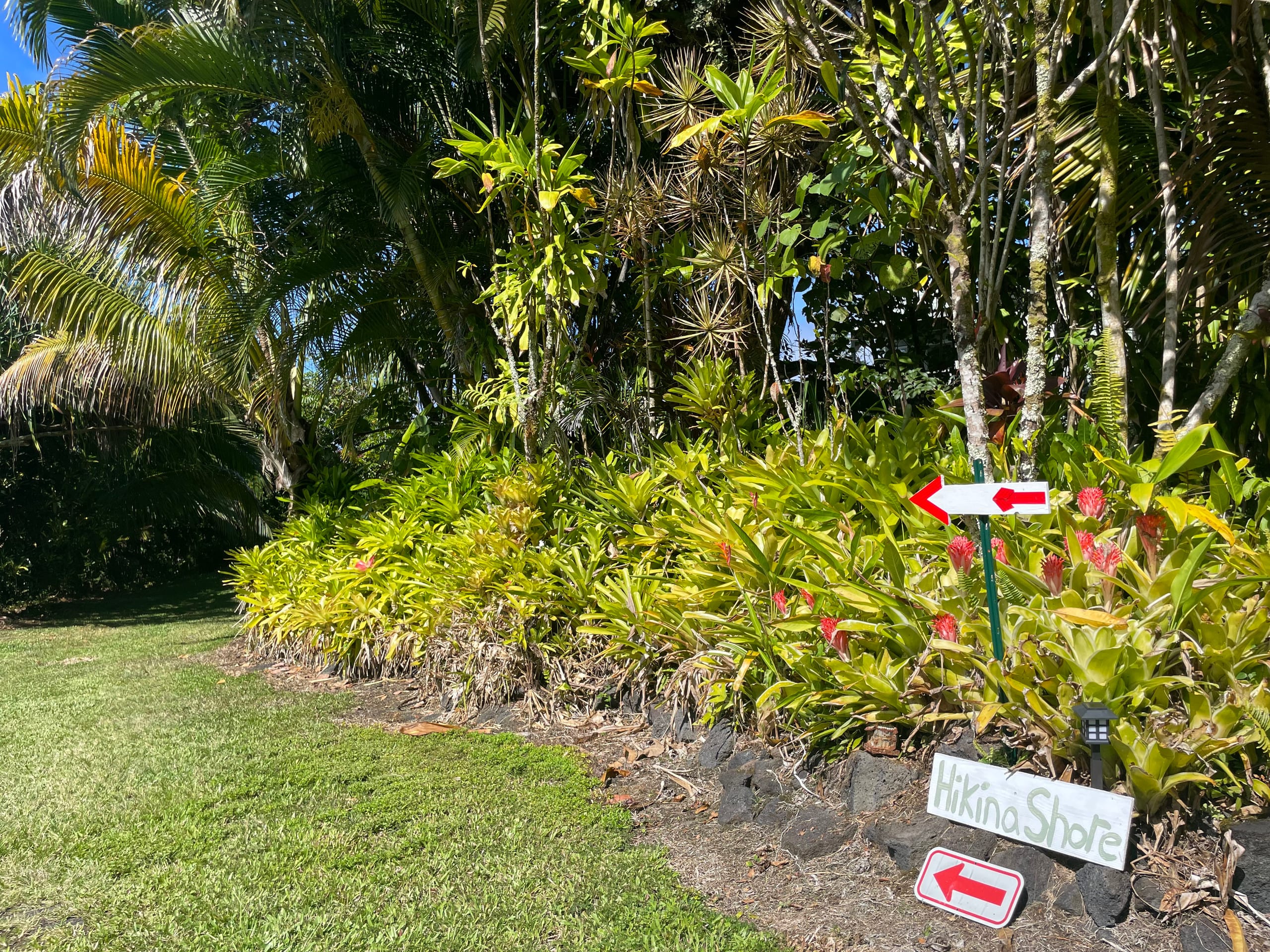 Home in Pahoa · ★4.95 · 1 bedroom · 2 beds · 1 private bath - Image 53
