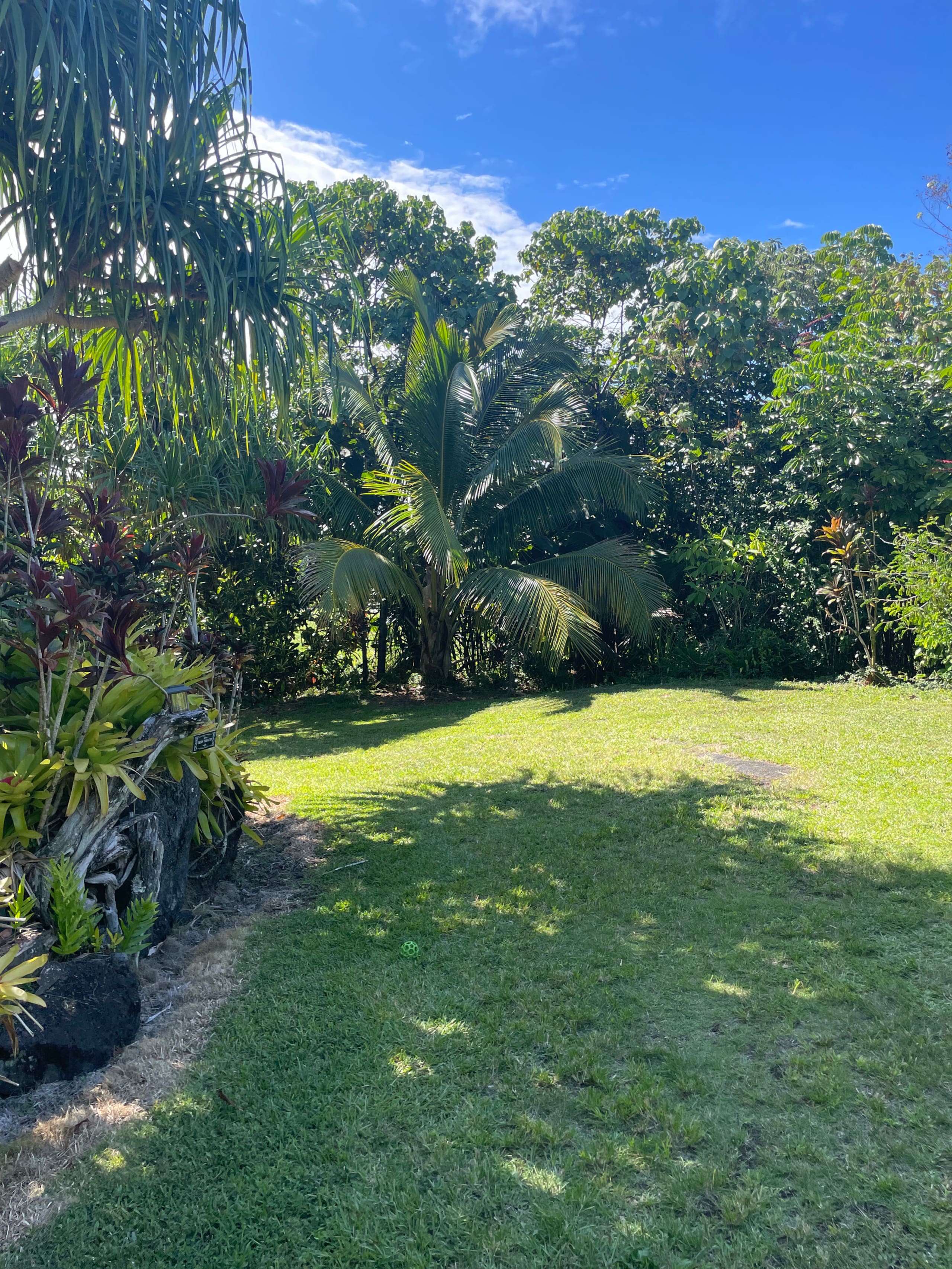 Home in Pahoa · ★4.95 · 1 bedroom · 2 beds · 1 private bath - Image 57