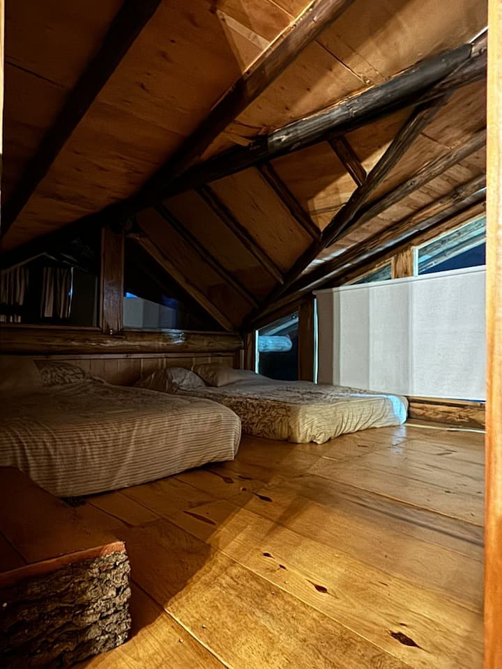 Habitación 1