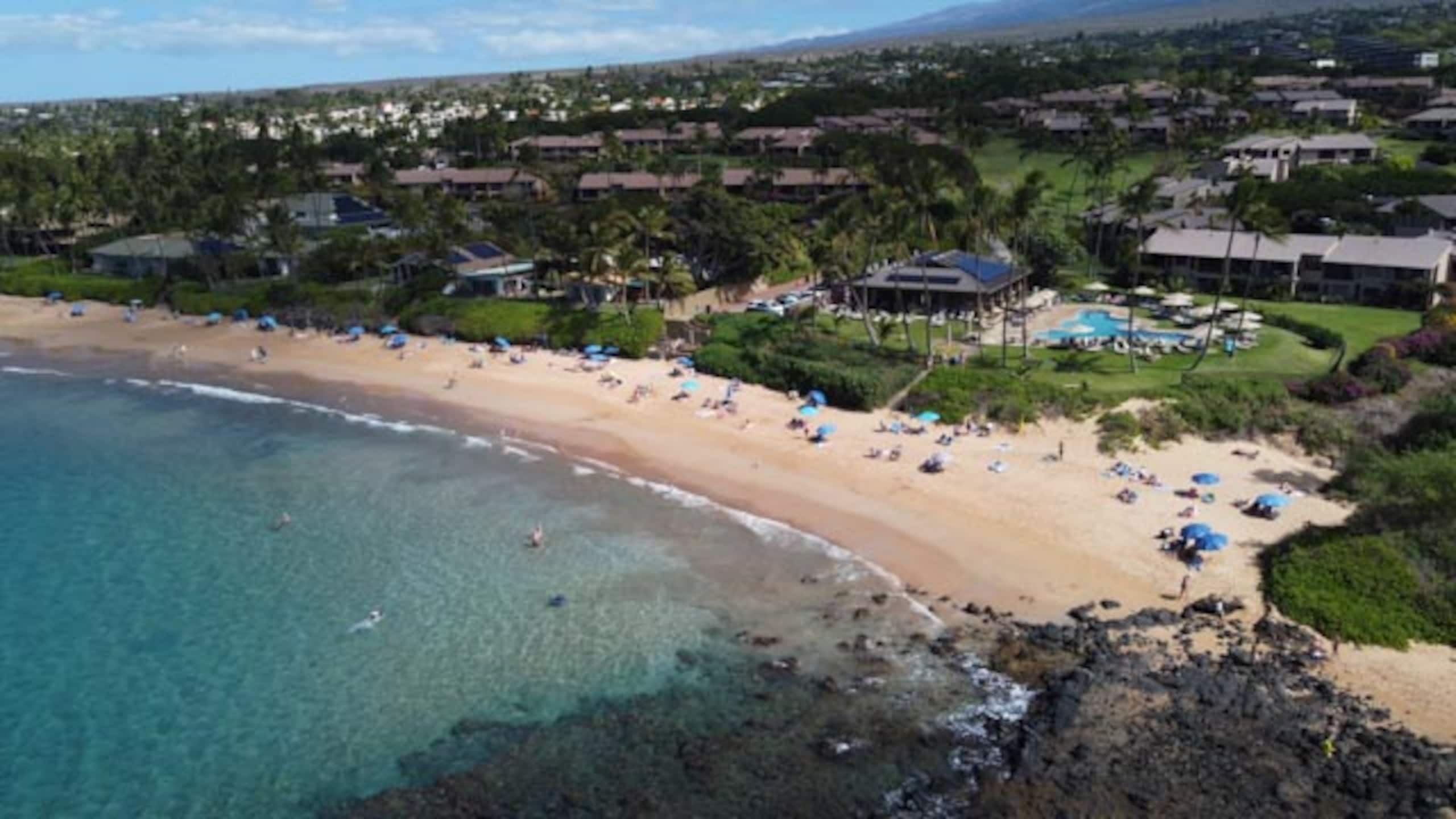 Wailea Ocean View Escape - Image 70