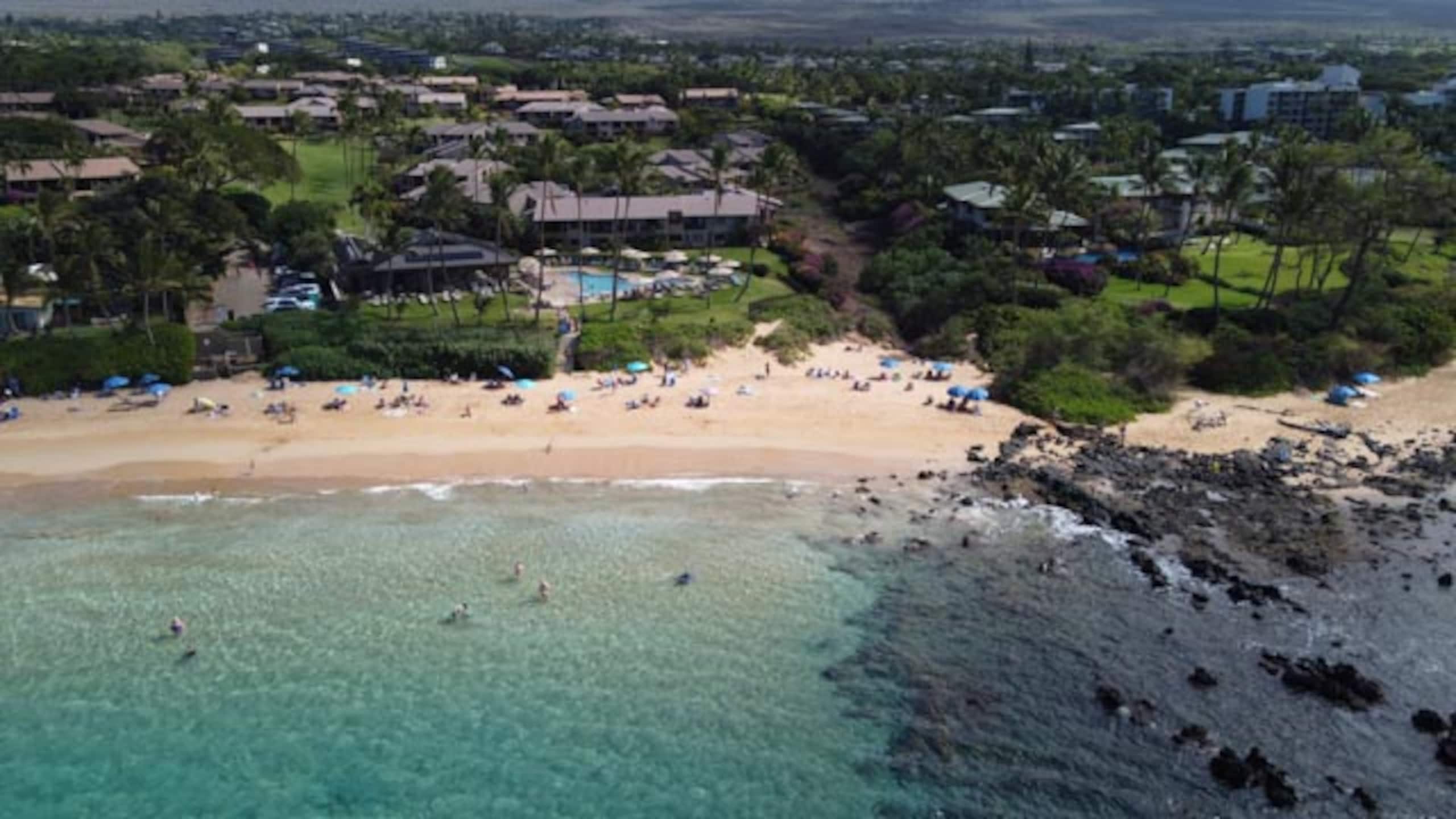 Wailea Ocean View Escape - Image 69