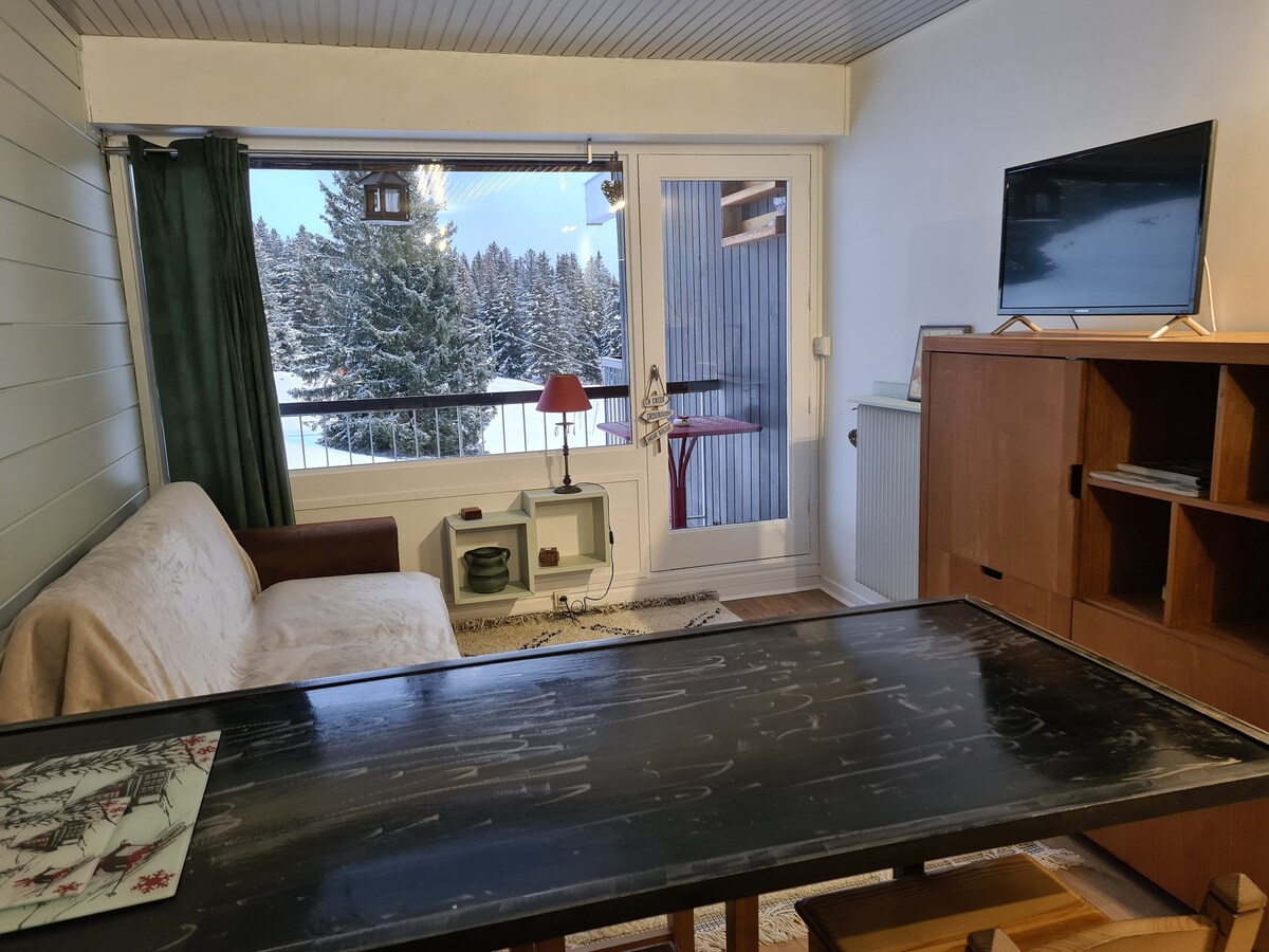 Top performing Airbnb: Studio Chamrousse in Chamrousse