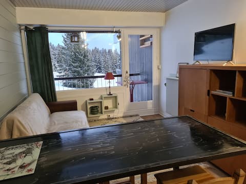 Top performing Airbnb: Studio Chamrousse in Chamrousse