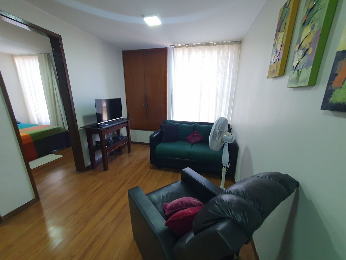 A living area features a dark green sofa, a black armchair with cushions, and a small wooden table. A television is positioned on a stand, and natural light filters through sheer curtains from the adjacent bedroom. A ceiling light provides additional illumination.