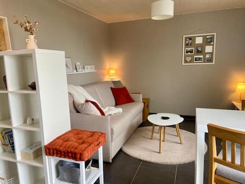 Airbnb performant: Studio with magnificent views of Lake Geneva à Évian Les Bains