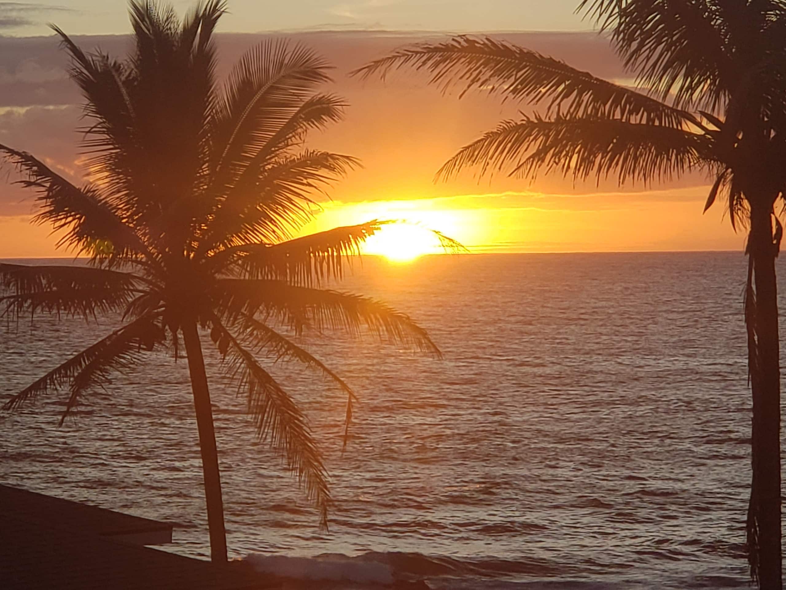 Home in Pahoa · ★4.9 · 1 bedroom · 2 beds · 1 private bath - Image 18