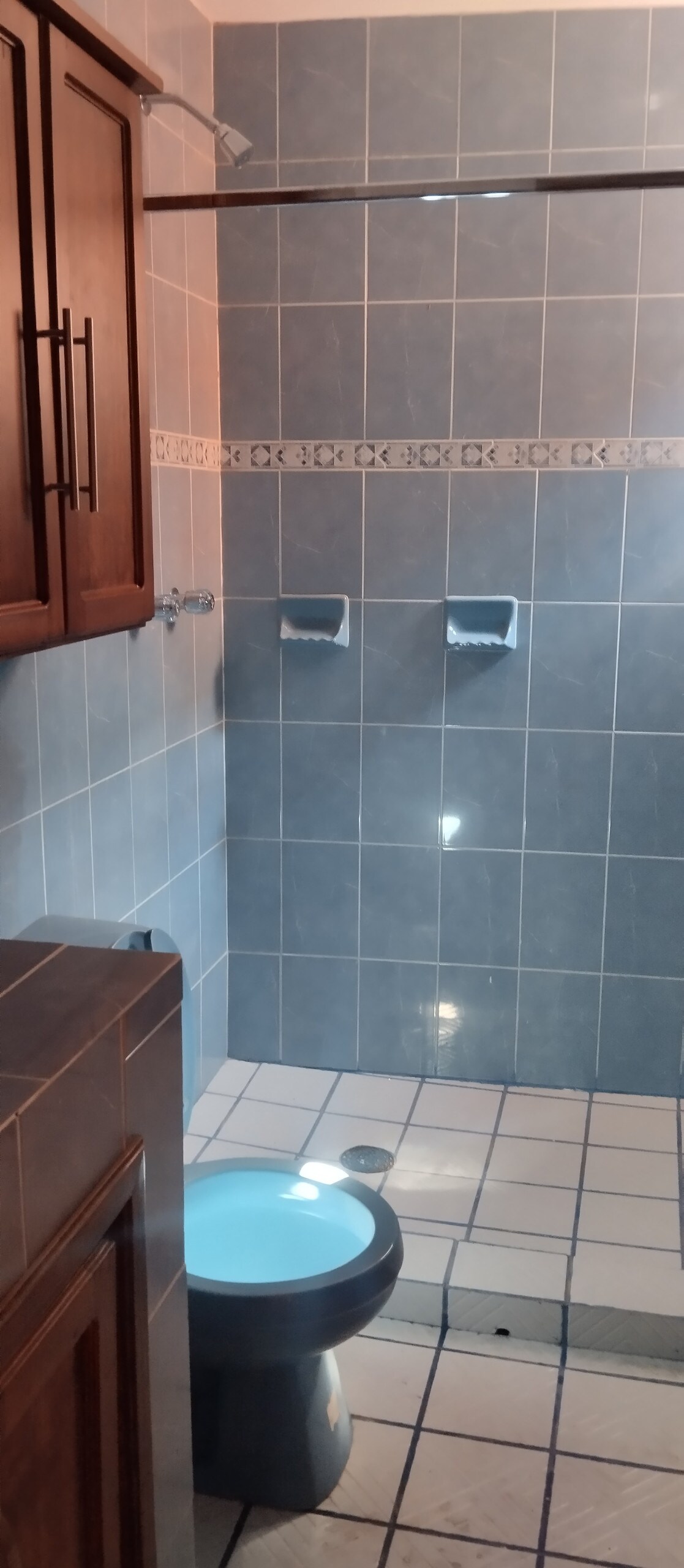 A bathroom is presented with blue tiled walls and a light tiled floor. A shower area with glass panels is visible, alongside a dark toilet. Wooden cabinetry is mounted on the wall, providing storage space. Two hand towels are arranged neatly in wall-mounted holders.