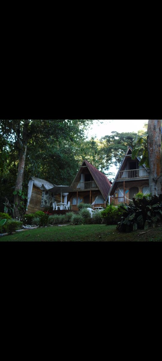 A charming two-story lodging is surrounded by lush greenery, featuring a distinctive A-frame design and a sloped roof. A small seating area with white chairs is visible on the porch, inviting relaxation in a serene outdoor space.