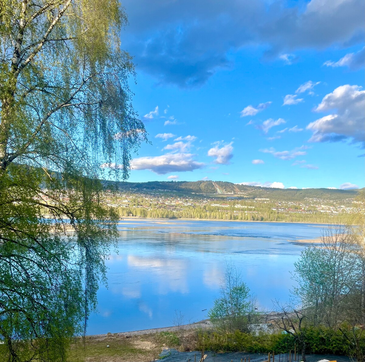 A serene view of Mjøsa lake is captured, with reflections of clouds and the surrounding landscape in the water. Lush greenery frames the scene, enhancing the sense of tranquility. The distant hills are visible against a bright blue sky, creating a peaceful natural backdrop.