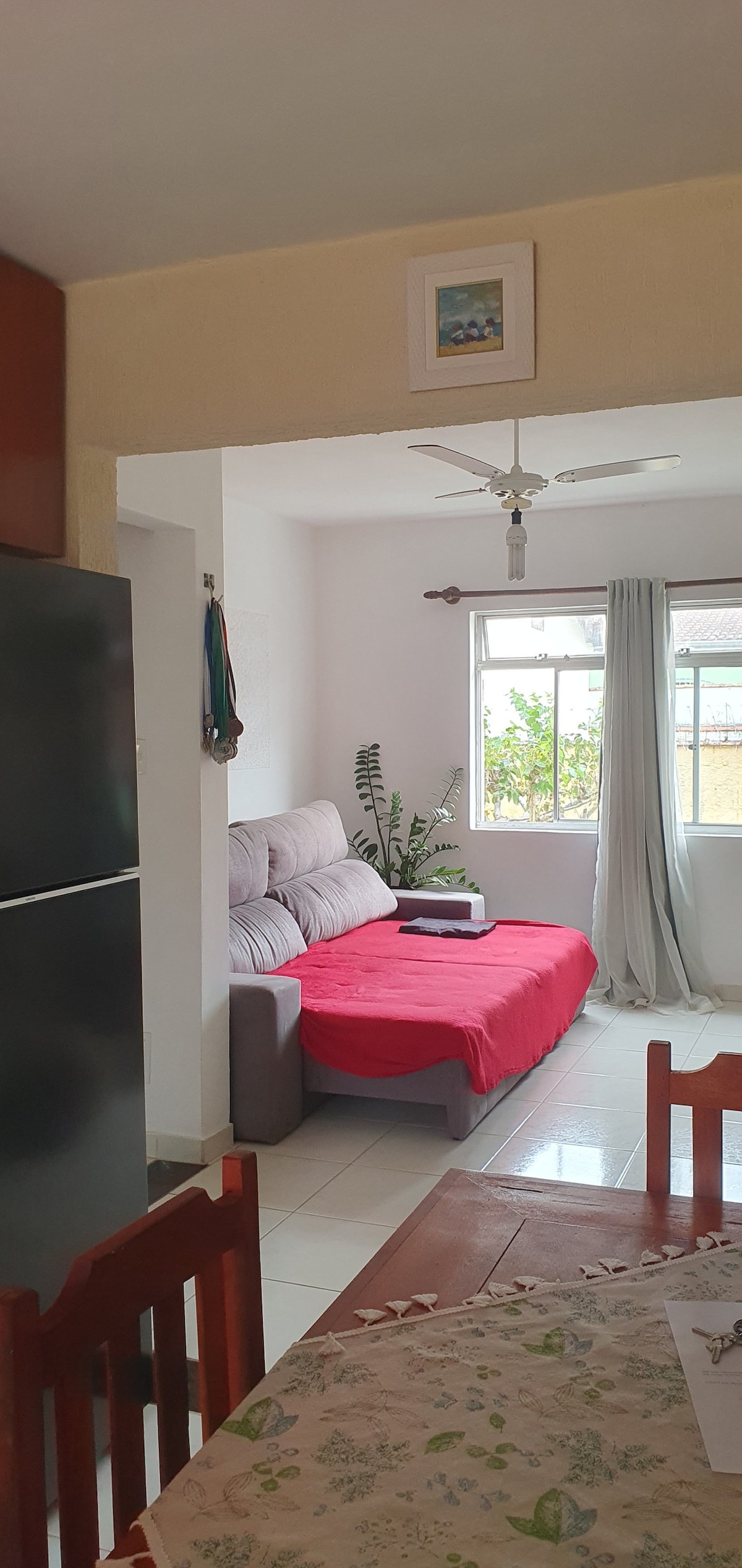 A cozy living area features a grey sofa bed with a red throw blanket, inviting relaxation. Natural light filters through a nearby window adorned with sheer curtains, highlighting greenery from outdoor plants. A dining table with wooden chairs is set for meals, complementing the homey atmosphere.