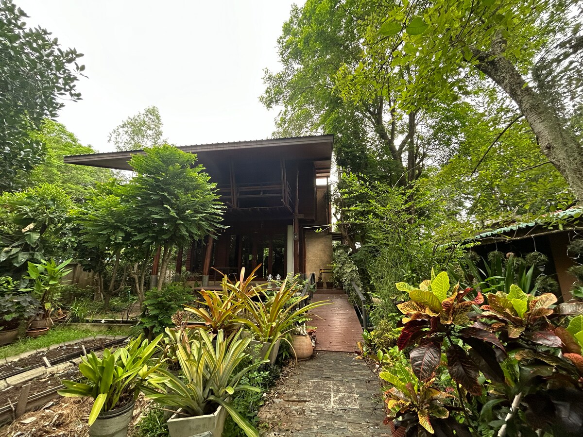 A welcoming structure sits among lush greenery, featuring a spacious deck that leads to the entrance. A variety of plants and flowers frame the path, enhancing the natural setting. The tropical tree canopy provides shade and contributes to the serene atmosphere of the property.