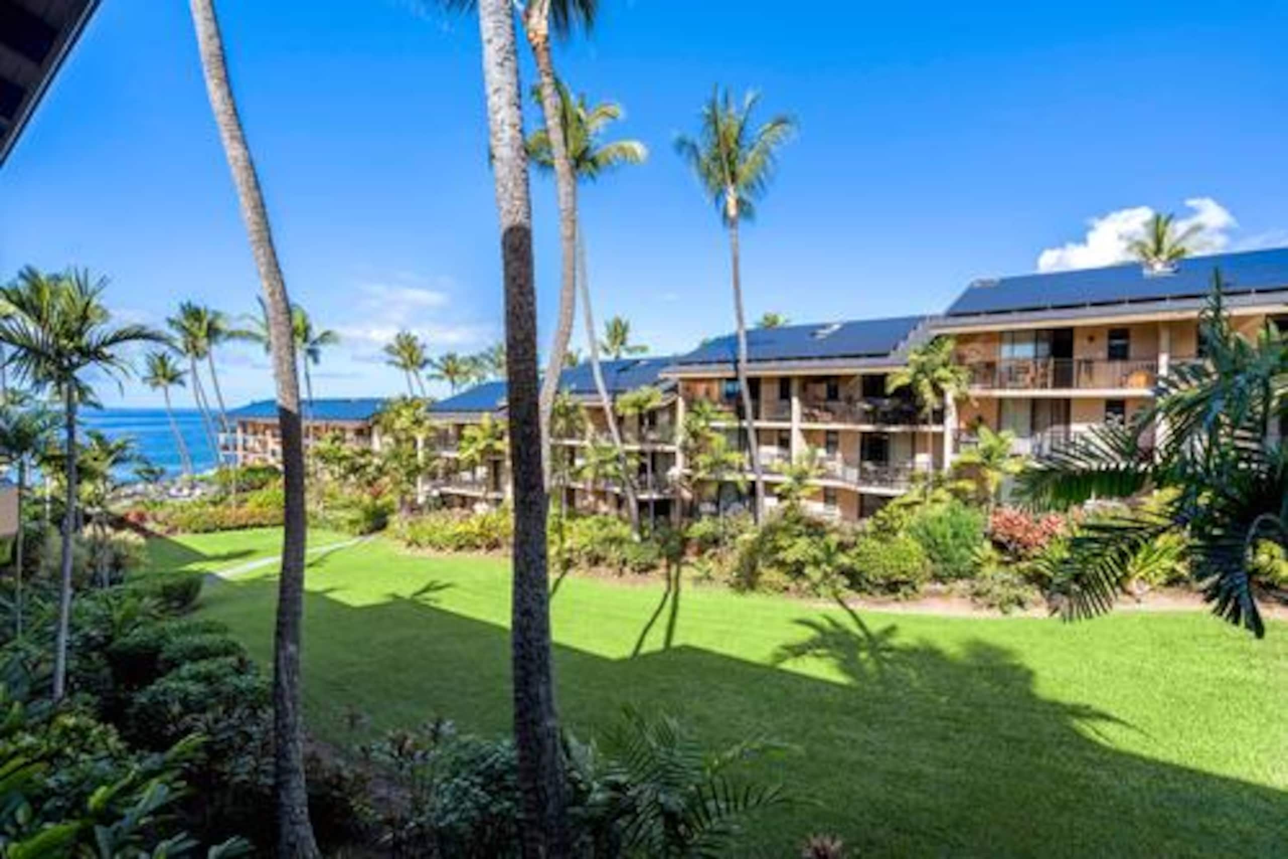 Condo in Kailua-Kona · ★4.97 · 1 bedroom · 2 beds · 1 bath - Image 14