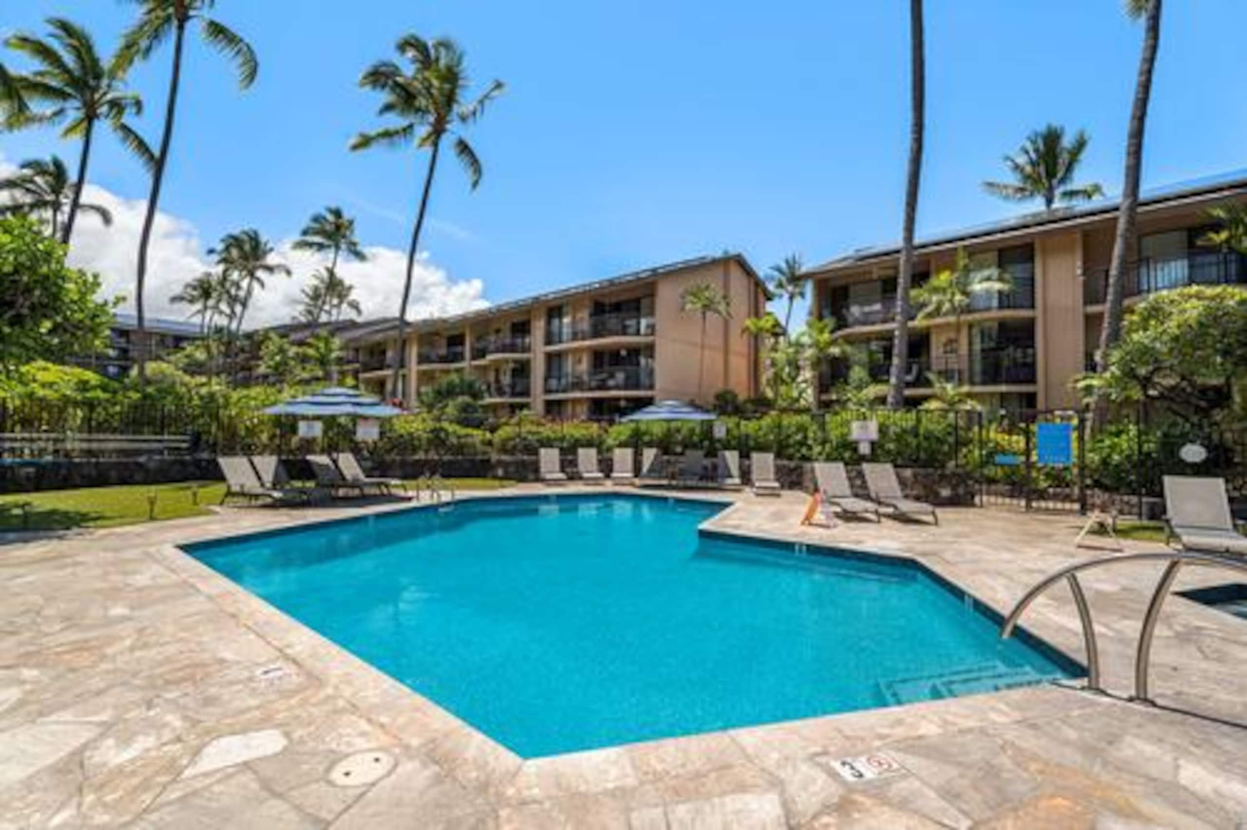 Condo in Kailua-Kona · ★4.97 · 1 bedroom · 2 beds · 1 bath - Image 16